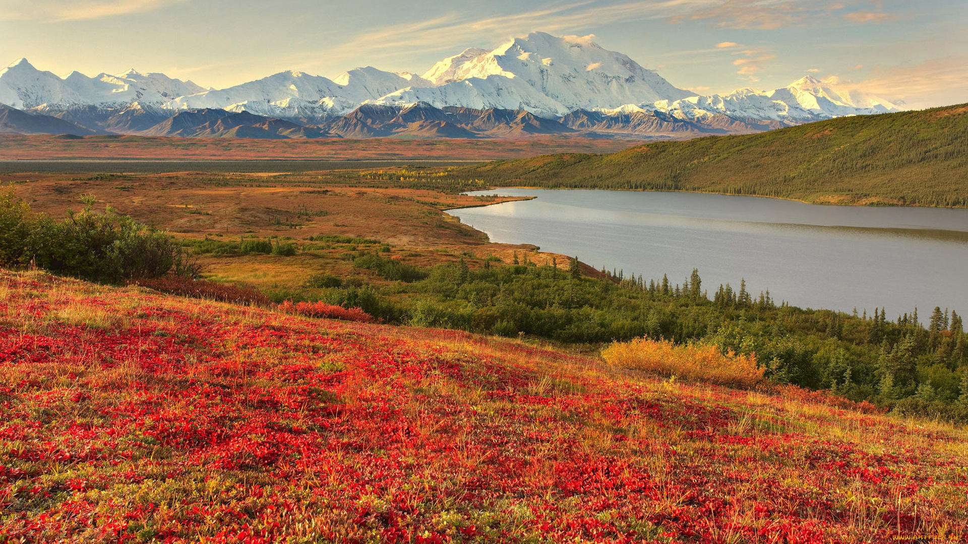 аляска, природа, реки, озера, вид, пейзаж, горы, снег, цветы, долина, красота