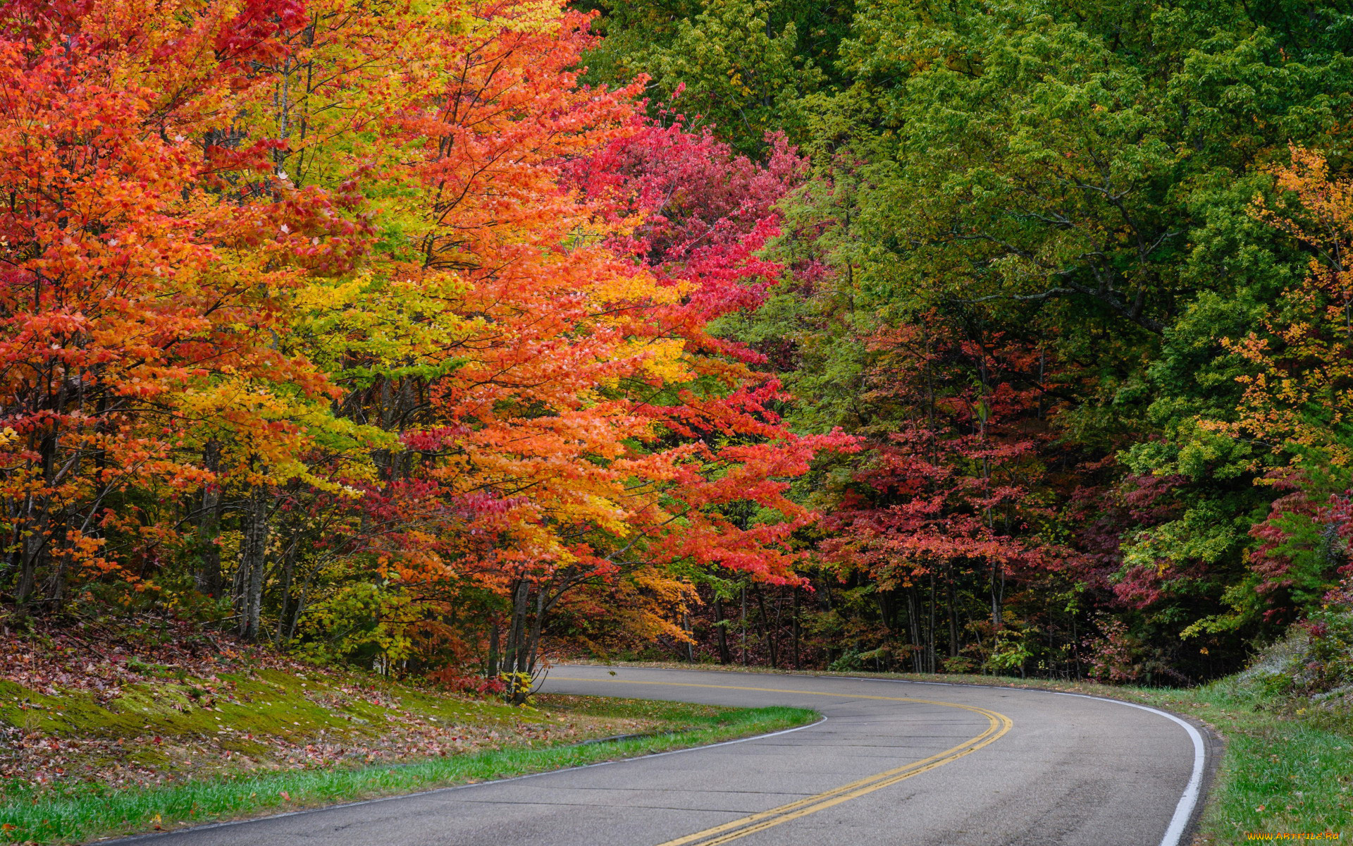 природа, дороги, шоссе, поворот, осень