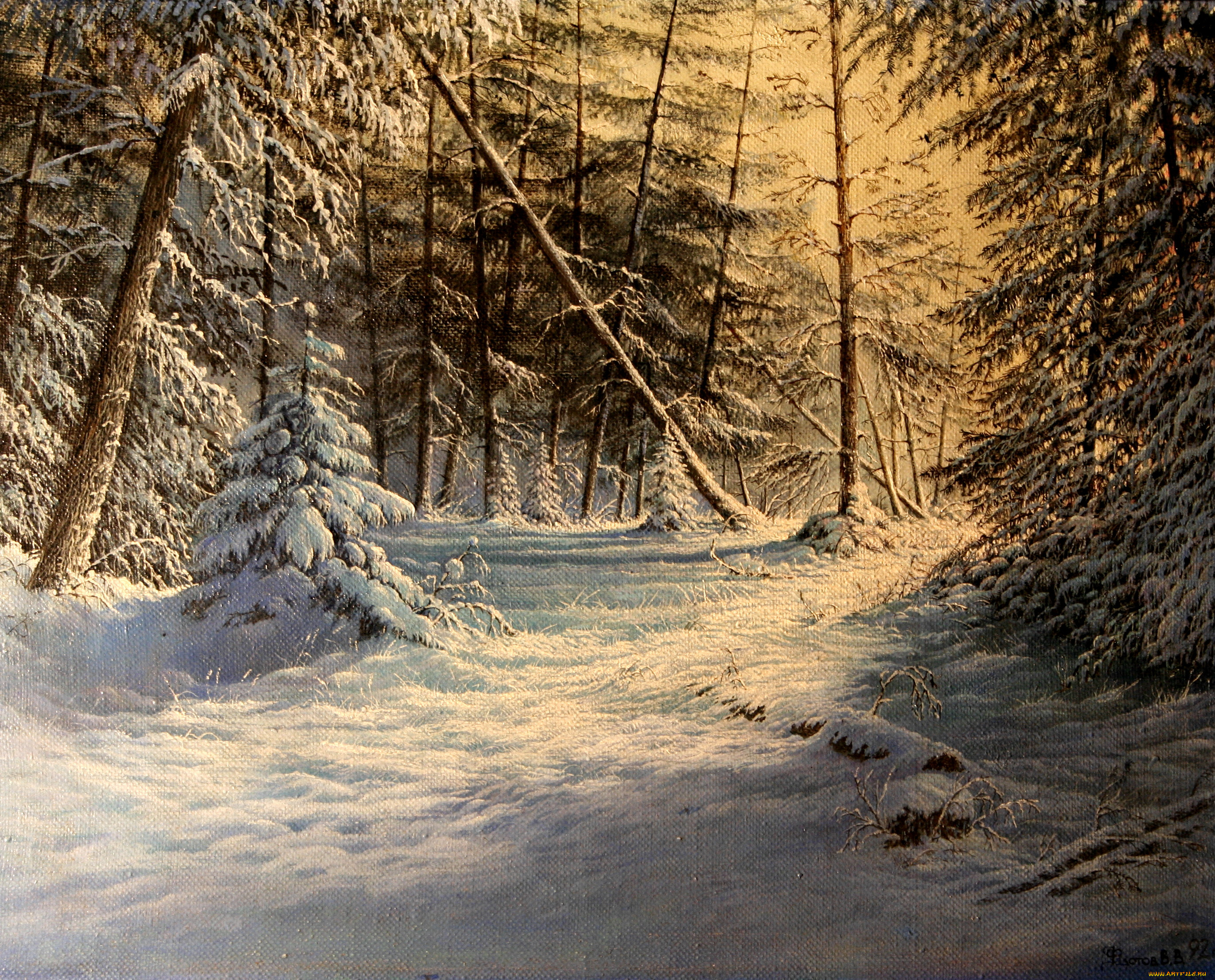 солнечный, день, рисованные, природа, ели, пейзаж, зимний, снег, зима, лес, живопись