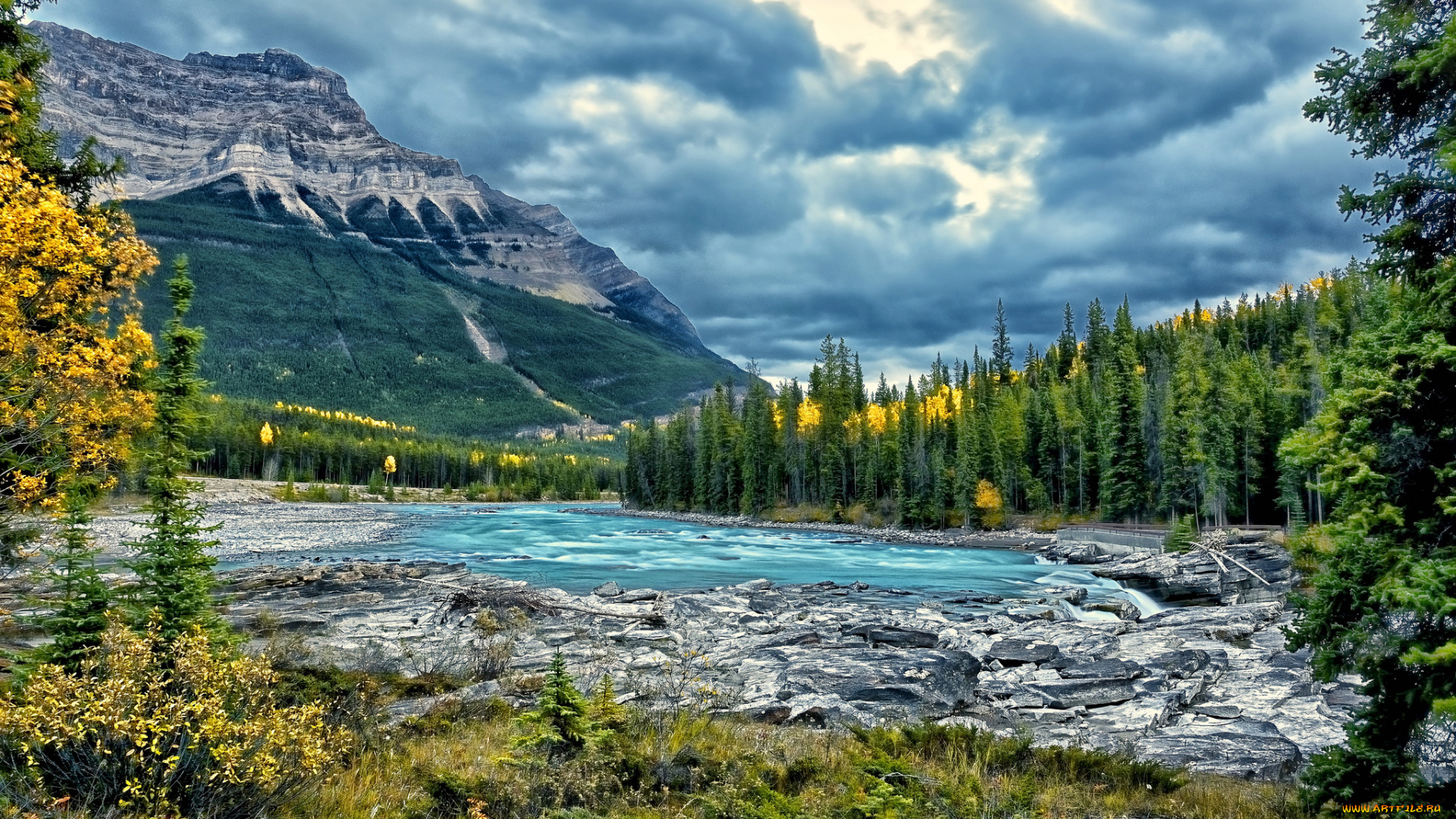 athabasca, river, jasper, national, park, alberta, canada, природа, реки, озера, горы, река, атабаска, канада, деревья, лес, пейзаж