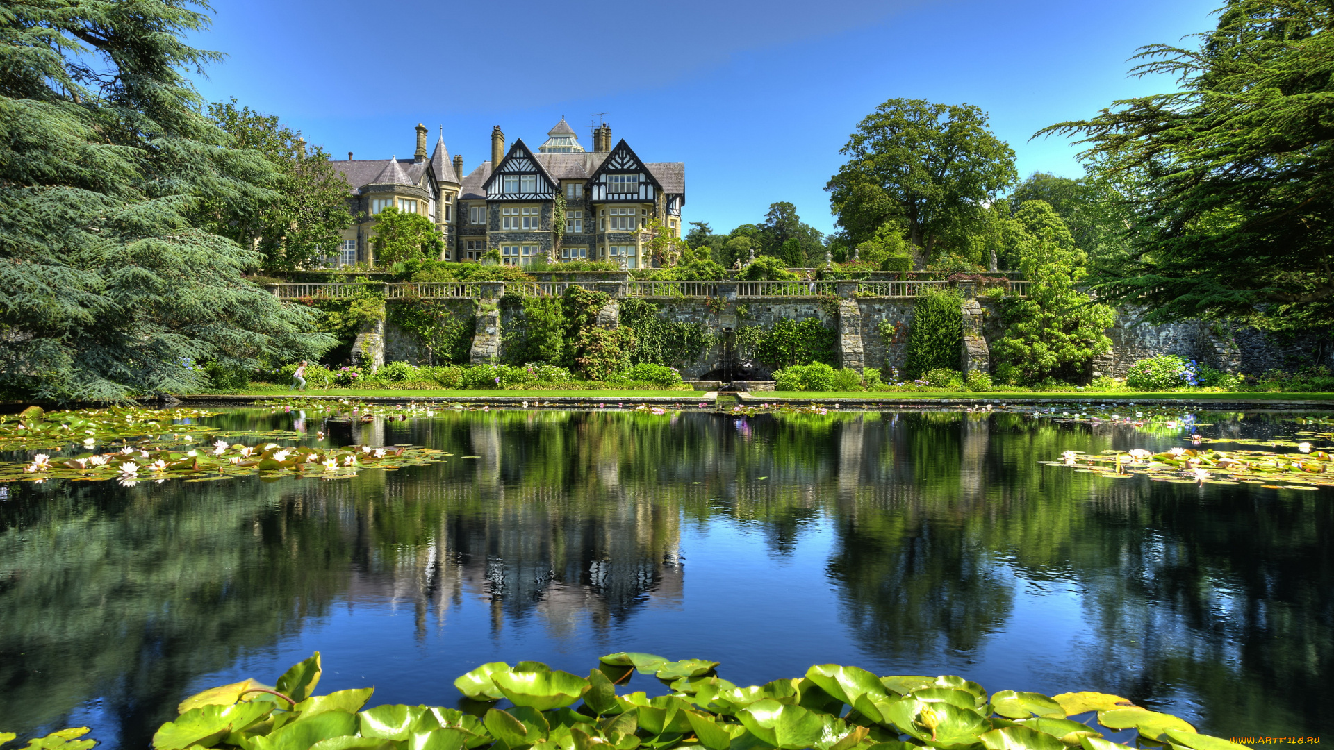 bodnant, gardens, conwy, уэльс, города, пейзажи, сад, водоем, растения