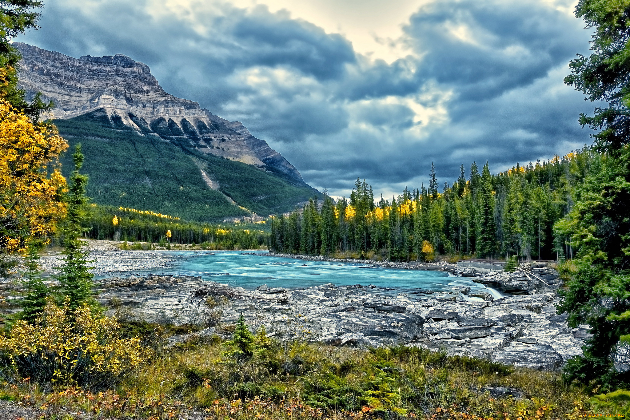 athabasca, river, jasper, national, park, alberta, canada, природа, реки, озера, горы, река, атабаска, канада, деревья, лес, пейзаж