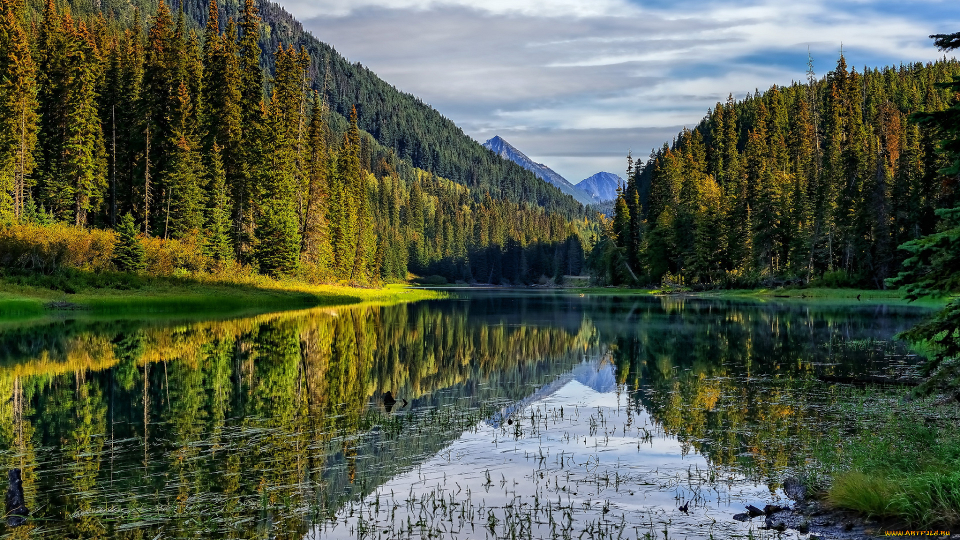 duffey, lake, provincial, park, , british, columbia, , canada, природа, реки, озера, лес, отражение, british, columbia, duffey, lake, озеро, канада, canada