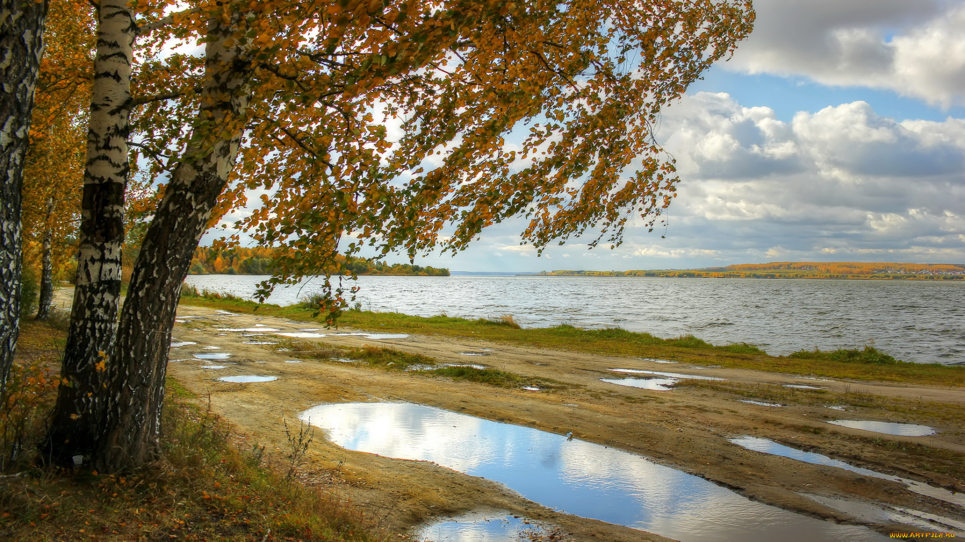 природа, реки, озера, россия, дерево, осень