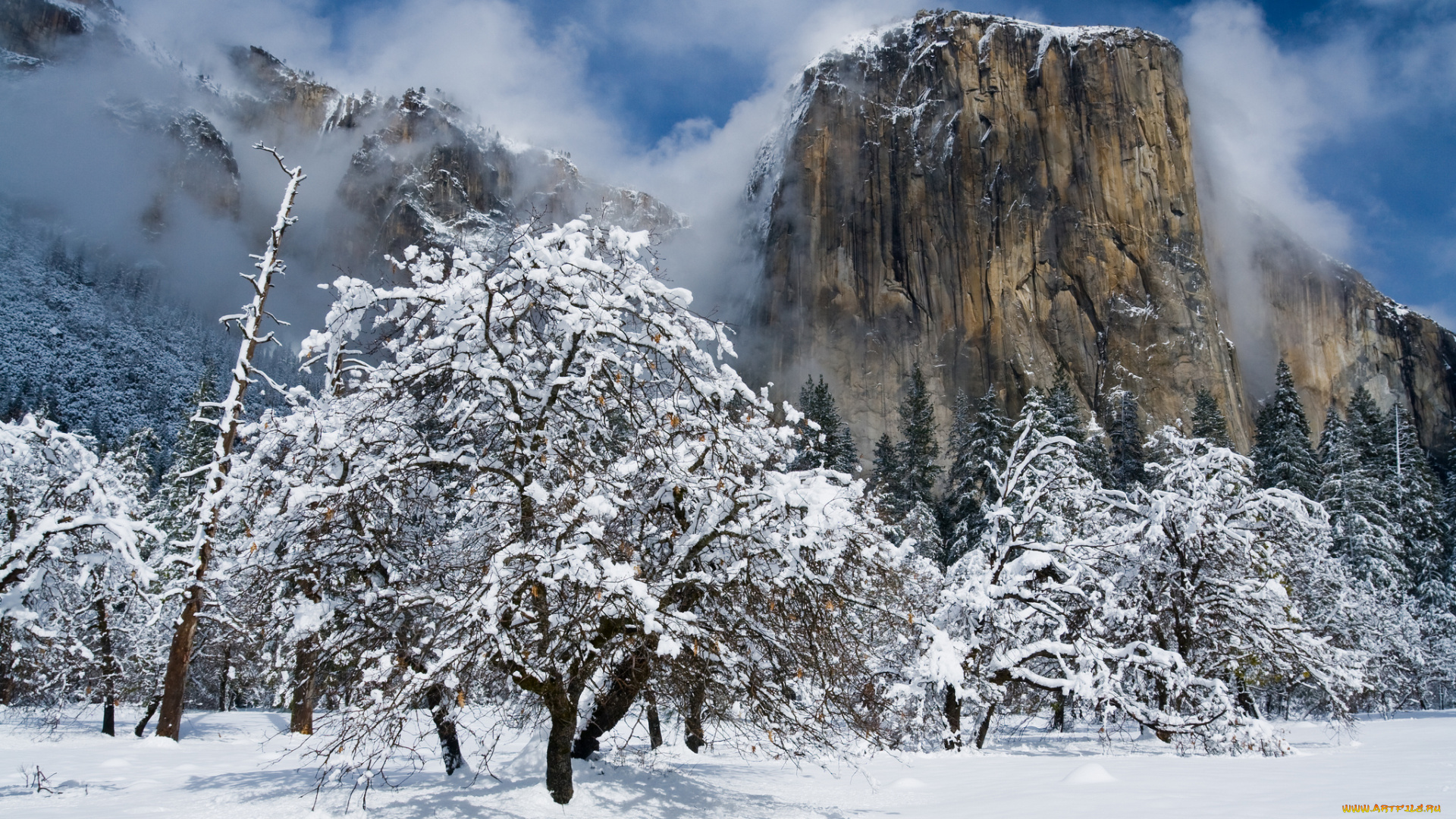 природа, зима, горы, скалы, снег, деревья
