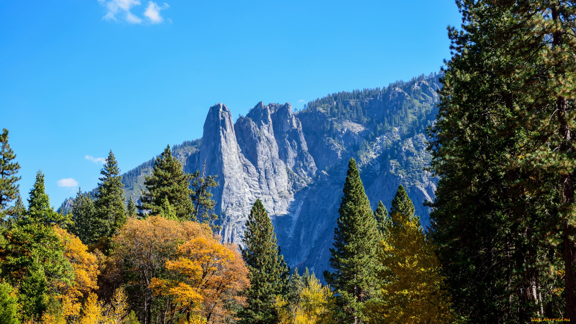 yosemite, national, park, california, природа, горы, лес, парк, national, park, yosemite