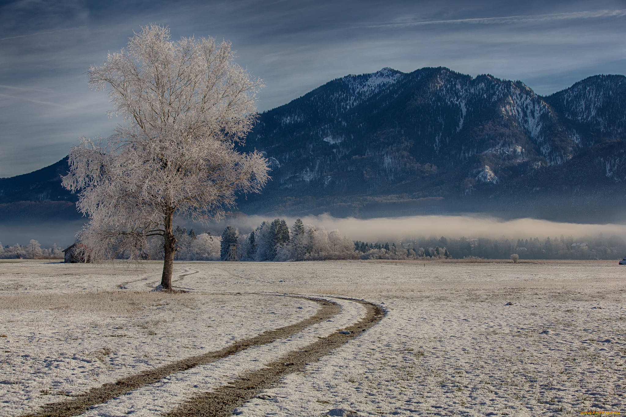 bavaria, , germany, природа, зима, горы, дерево, германия, germany, бавария