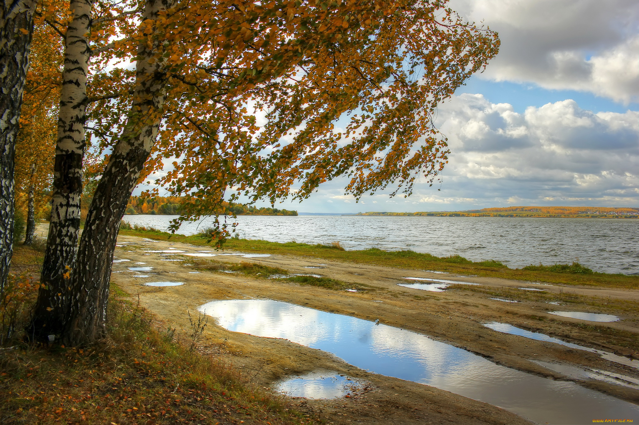 природа, реки, озера, россия, дерево, осень