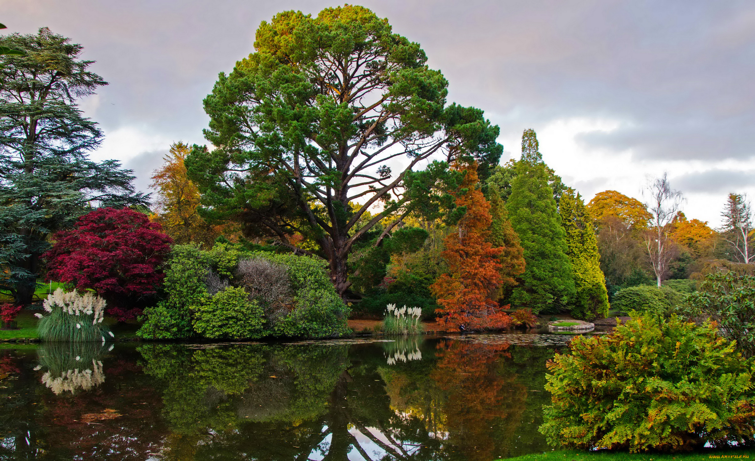 sheffield, park, garden, england, природа, парк, англия, пруд, деревья, кусты