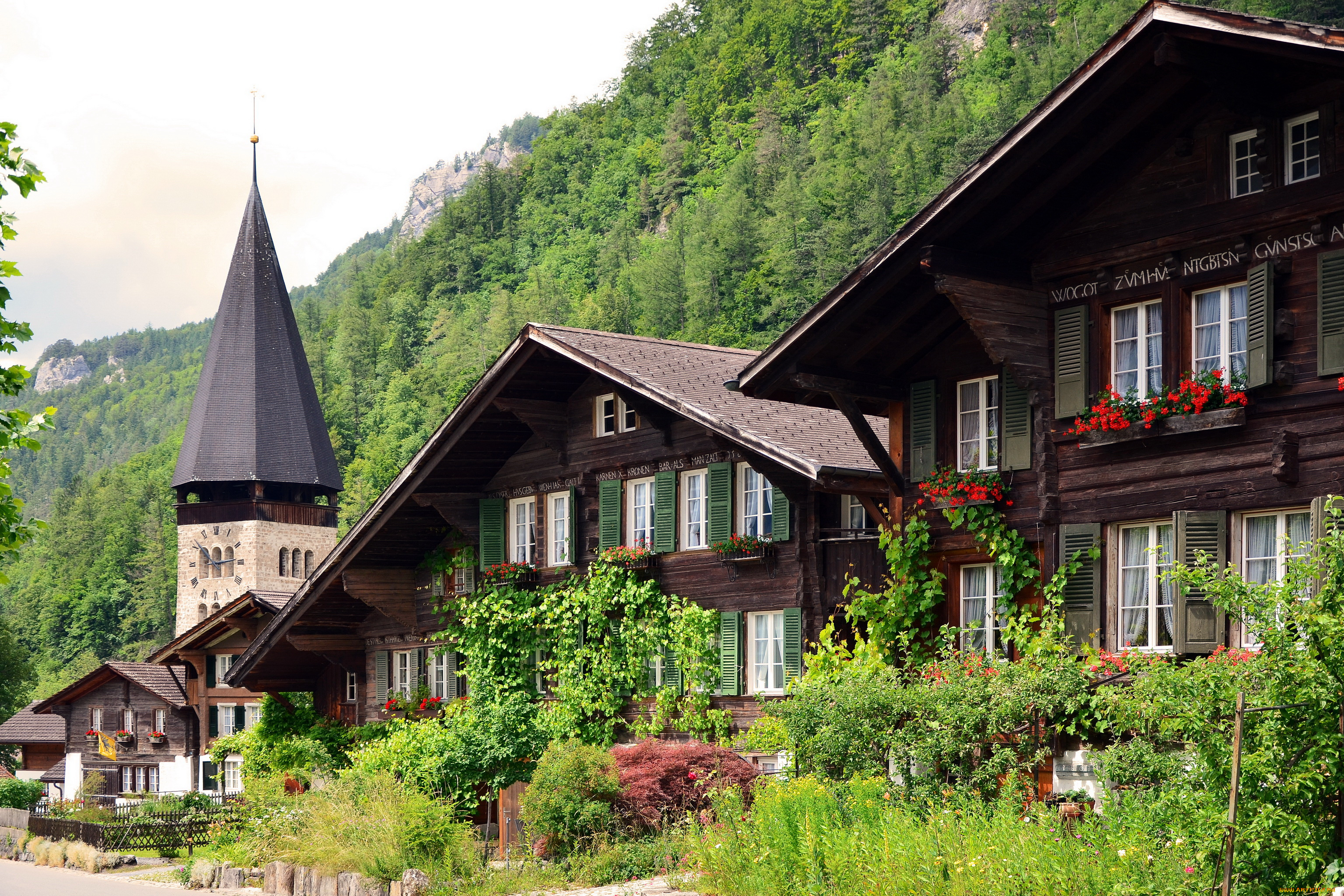 meiringen, , switzerland, города, -, здания, , дома, цветы, швейцария, дома, горы, трава