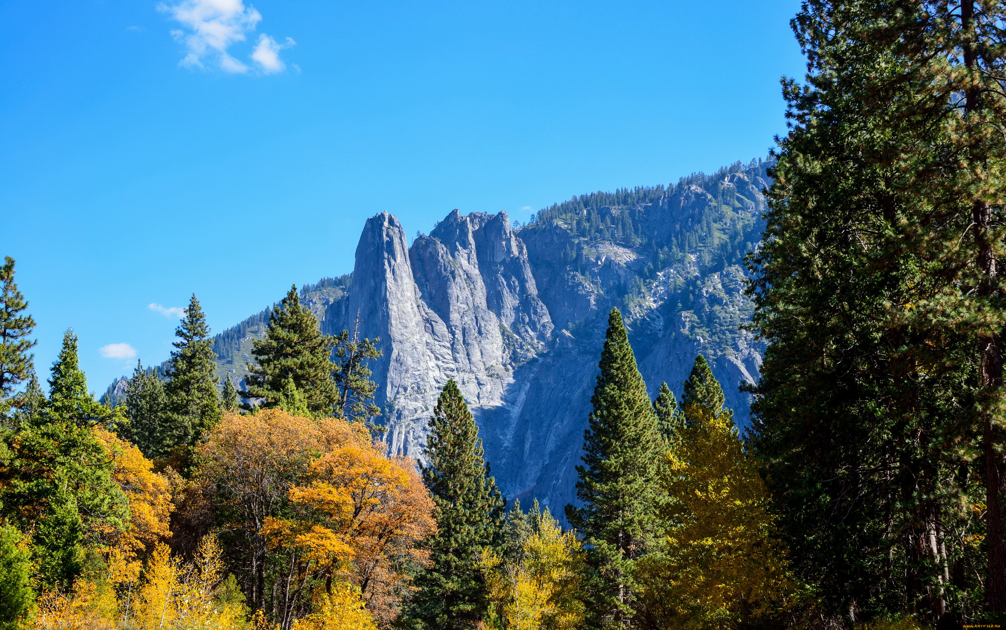 yosemite, national, park, california, природа, горы, лес, парк, national, park, yosemite