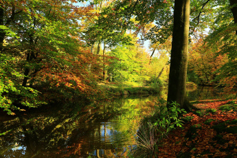 Картинка природа реки озера лес осень деревья река