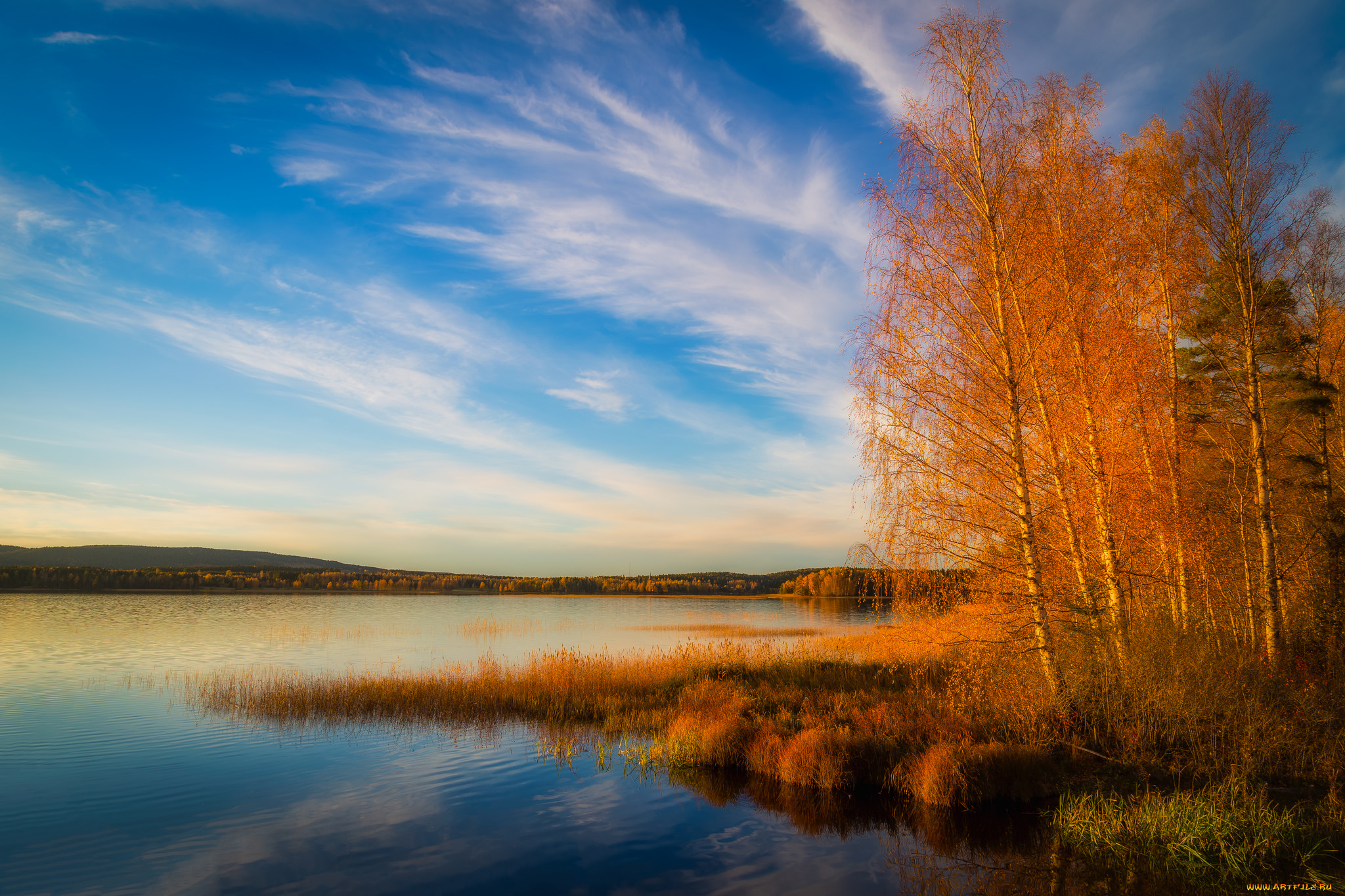 природа, реки, озера, лес, река