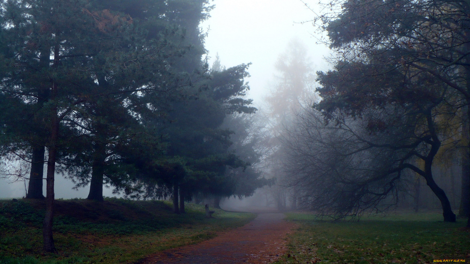 природа, дороги, туман, осень