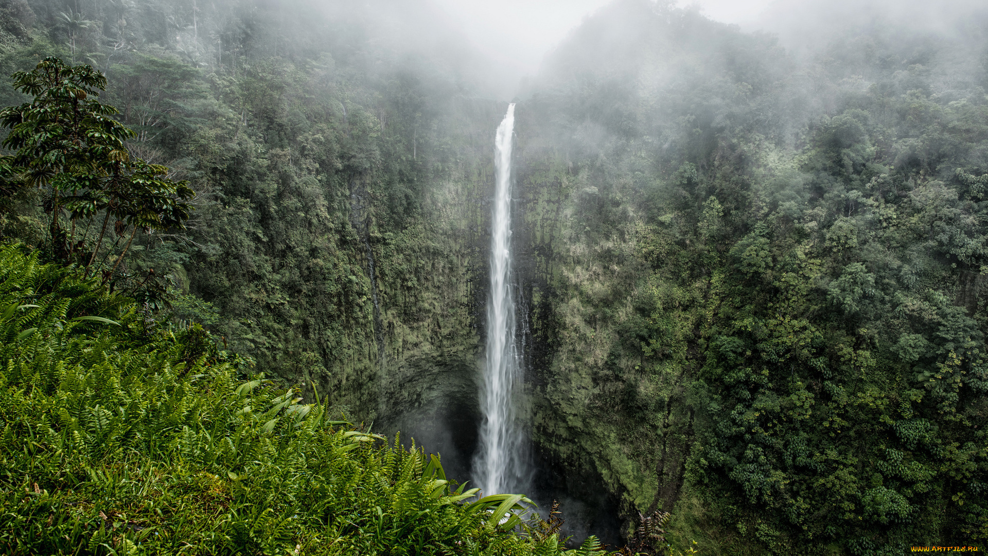 природа, водопады, туман, скалы, джунгли, водопад