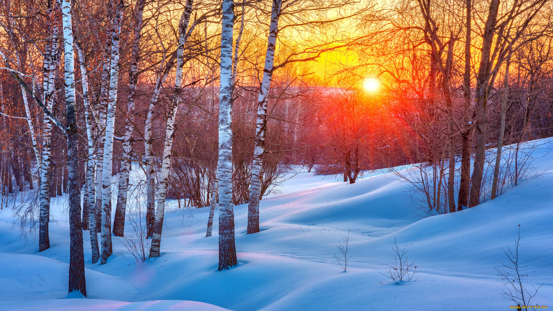 природа, зима, закат, берёзы, солнце, сугробы, снег, пейзаж