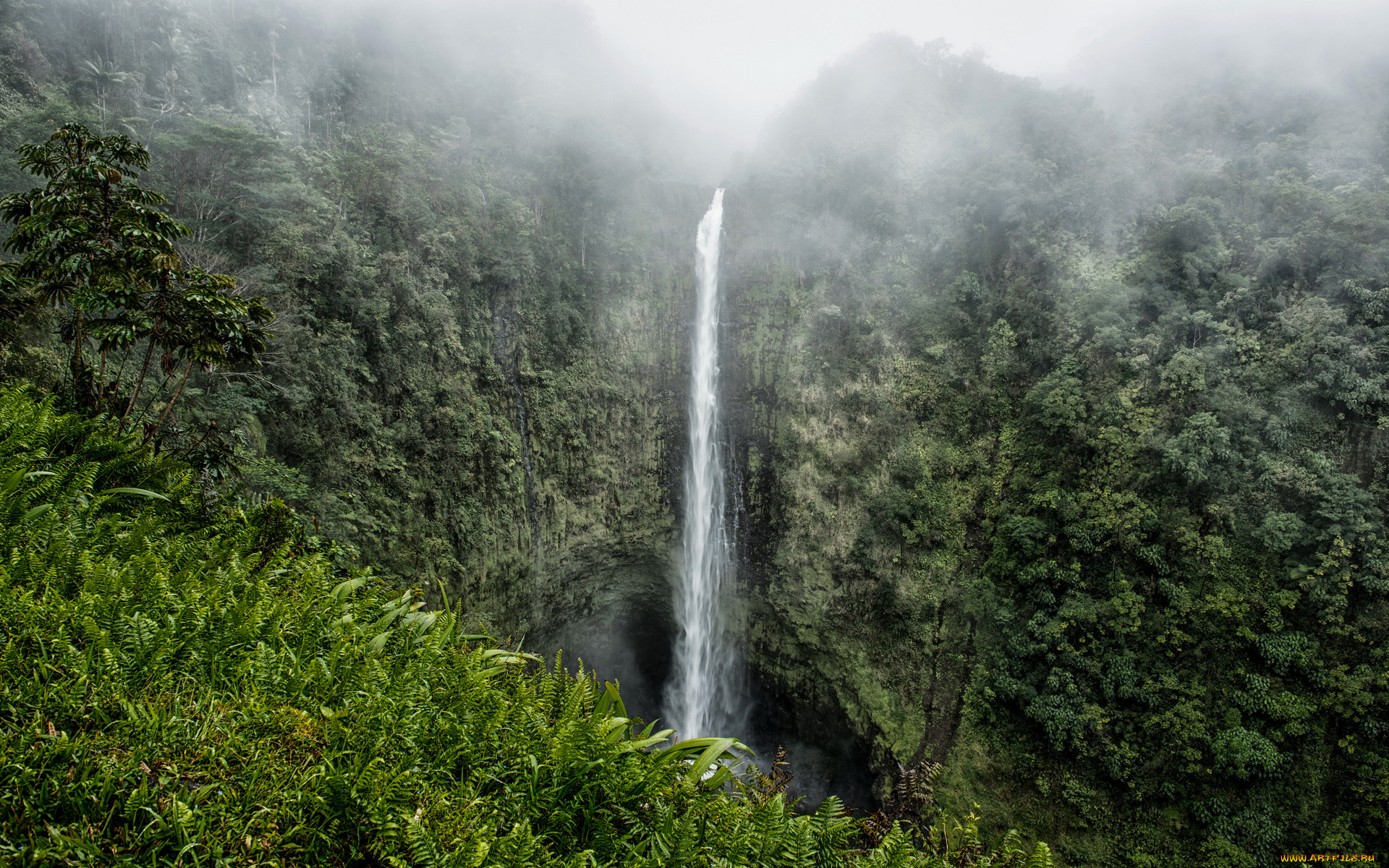 природа, водопады, туман, скалы, джунгли, водопад