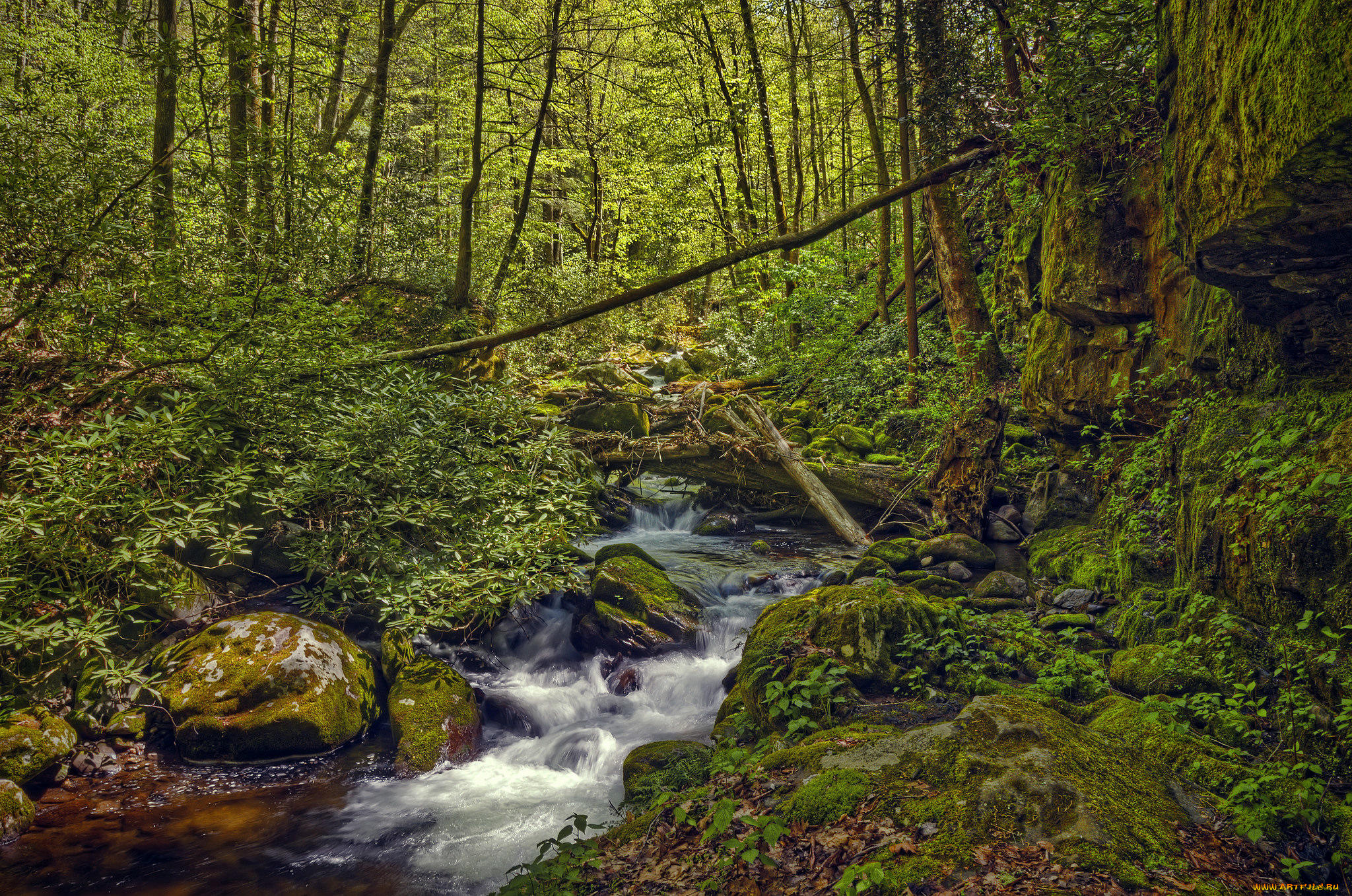 природа, реки, озера, great, smoky, mountains, national, park, штат, теннесси, лес