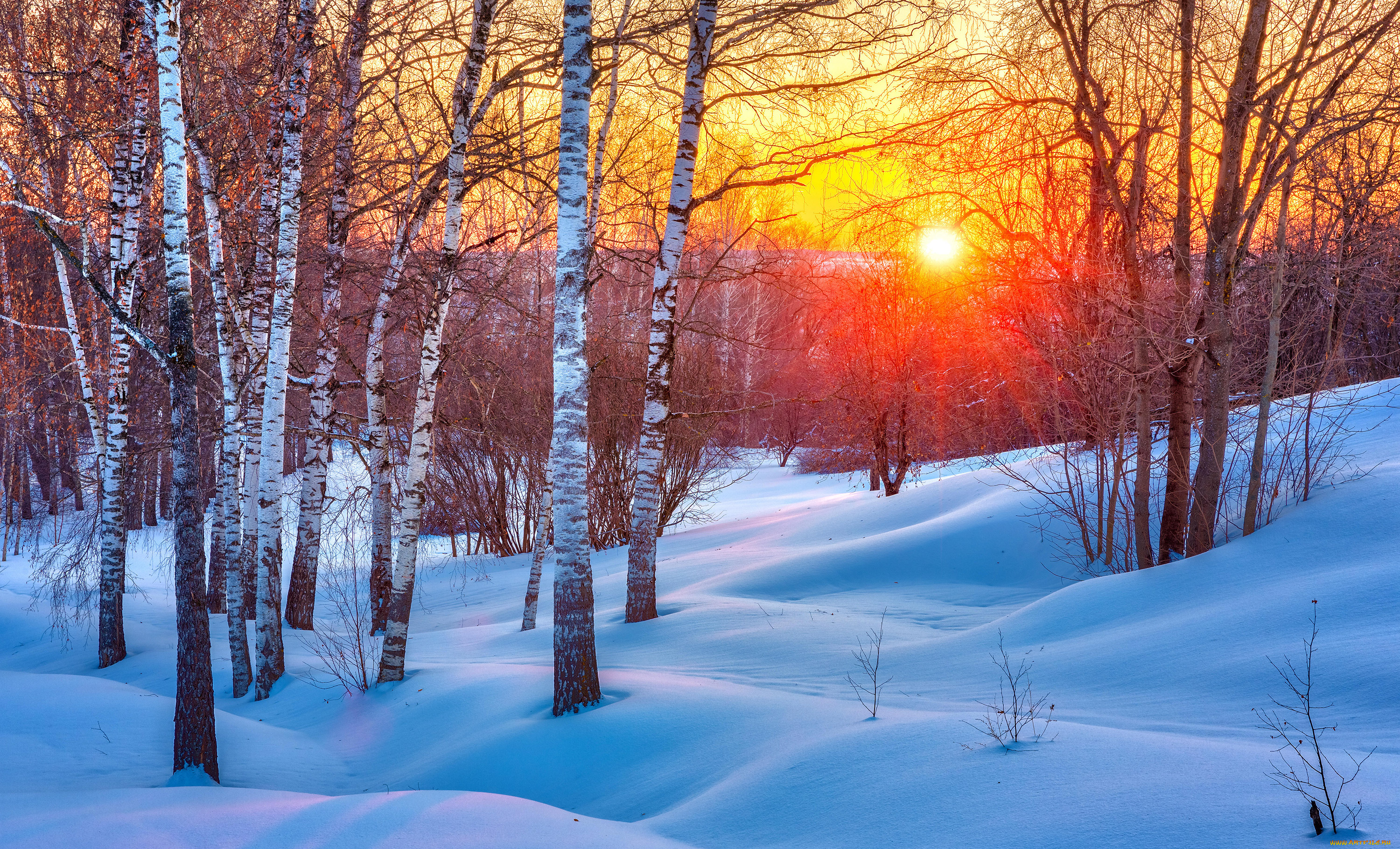 природа, зима, закат, берёзы, солнце, сугробы, снег, пейзаж