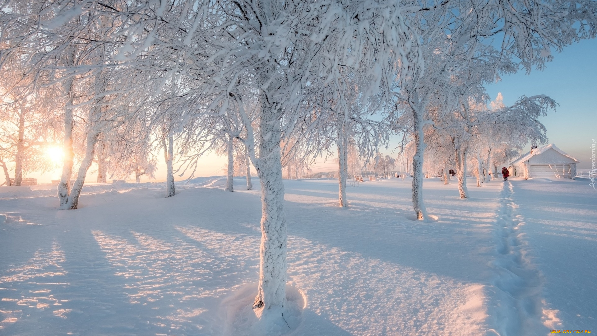 природа, зима, деревья, снег