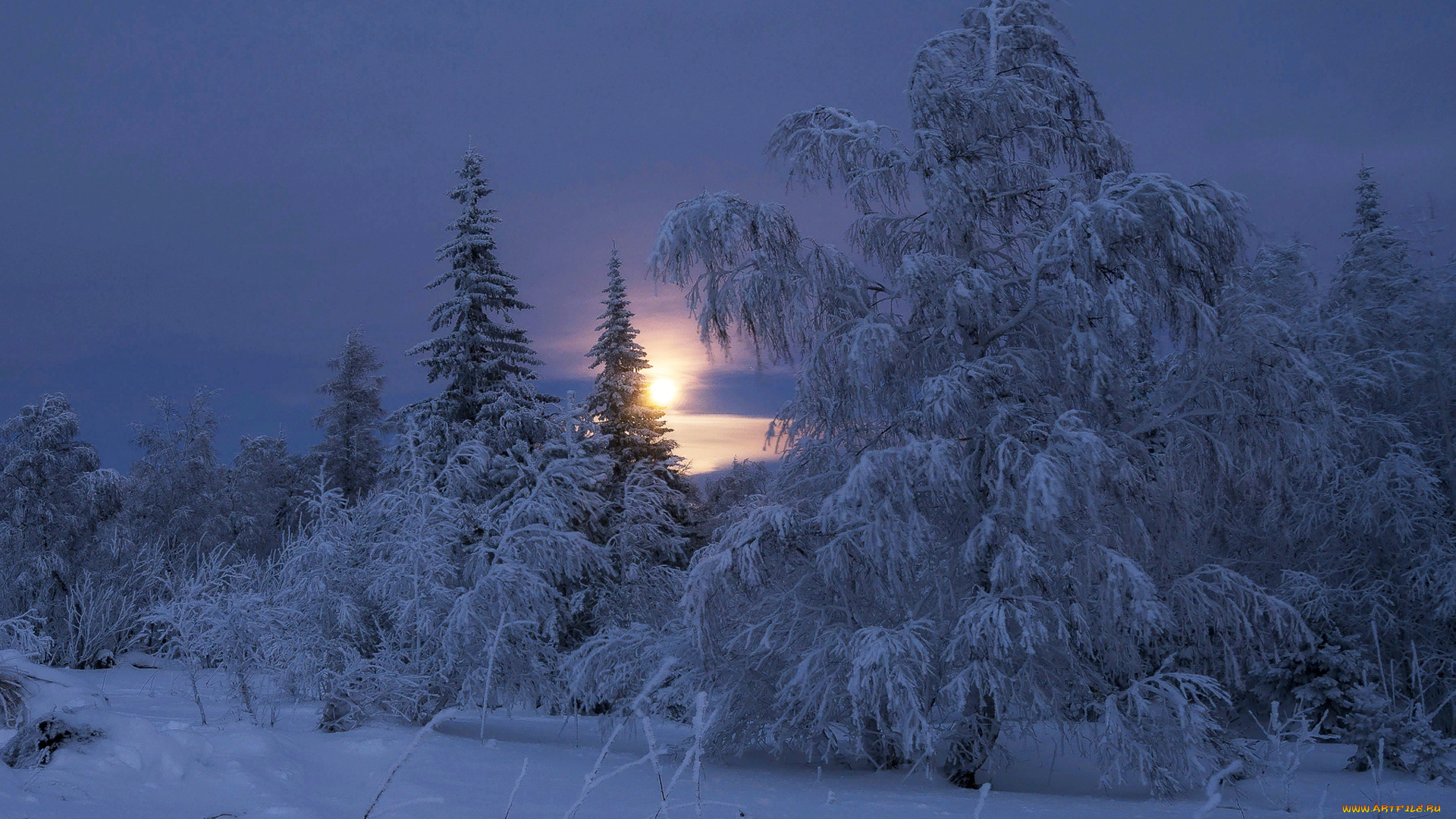 природа, зима, снег, деревья, пейзаж, утро, рассвет, солнце