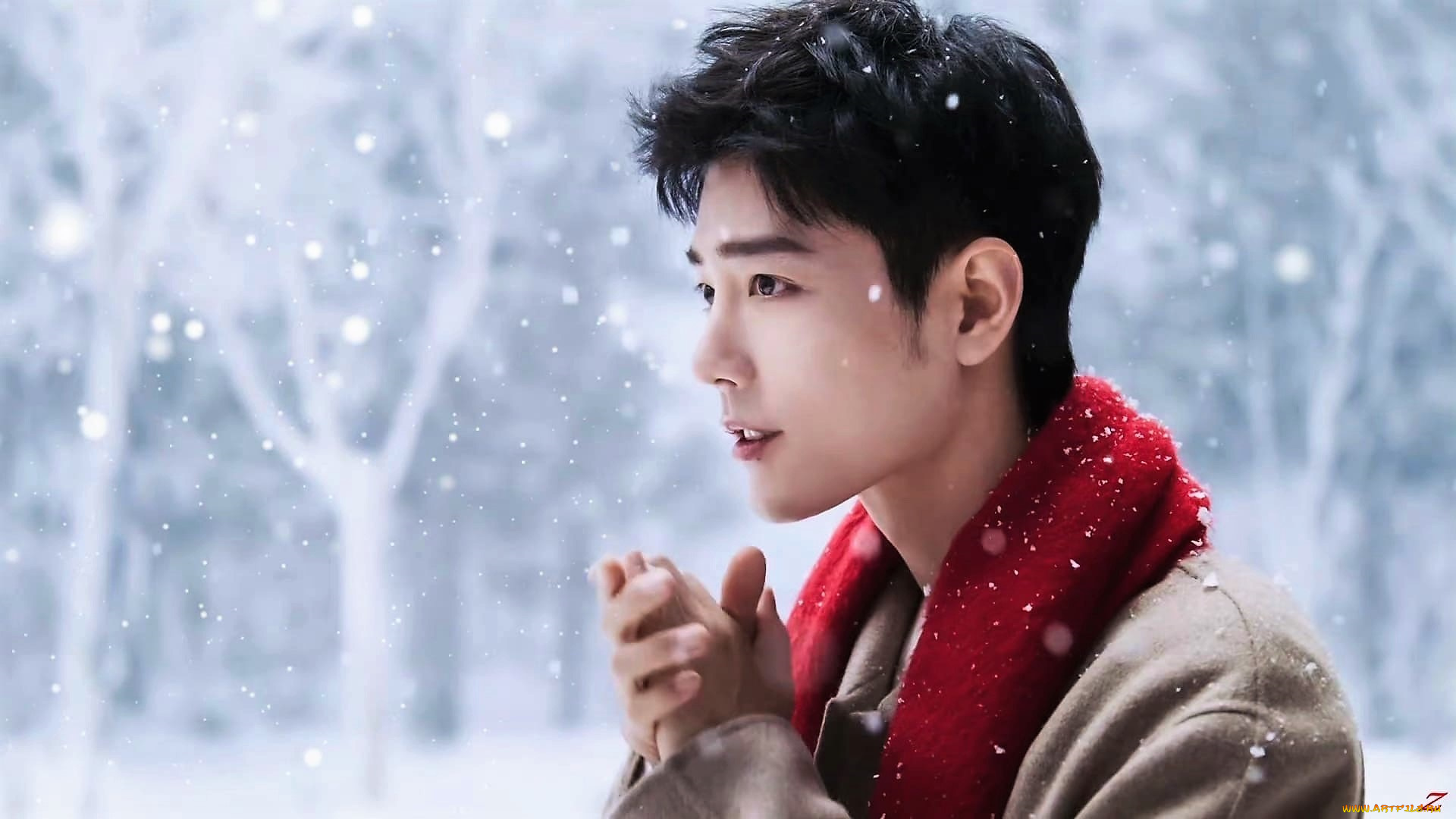 мужчины, xiao, zhan, лицо, шарф, пальто, снег