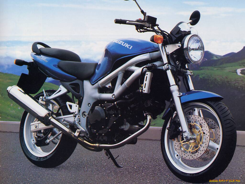suzuki, sv, 650, мотоциклы