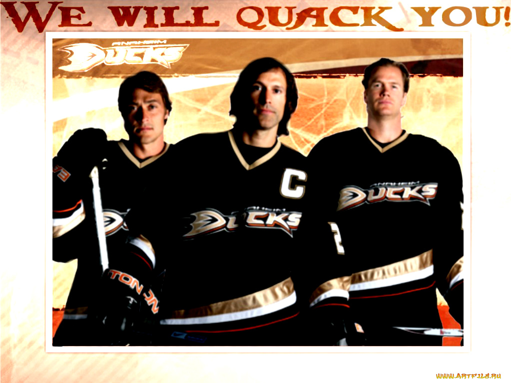 duck, спорт, nhl