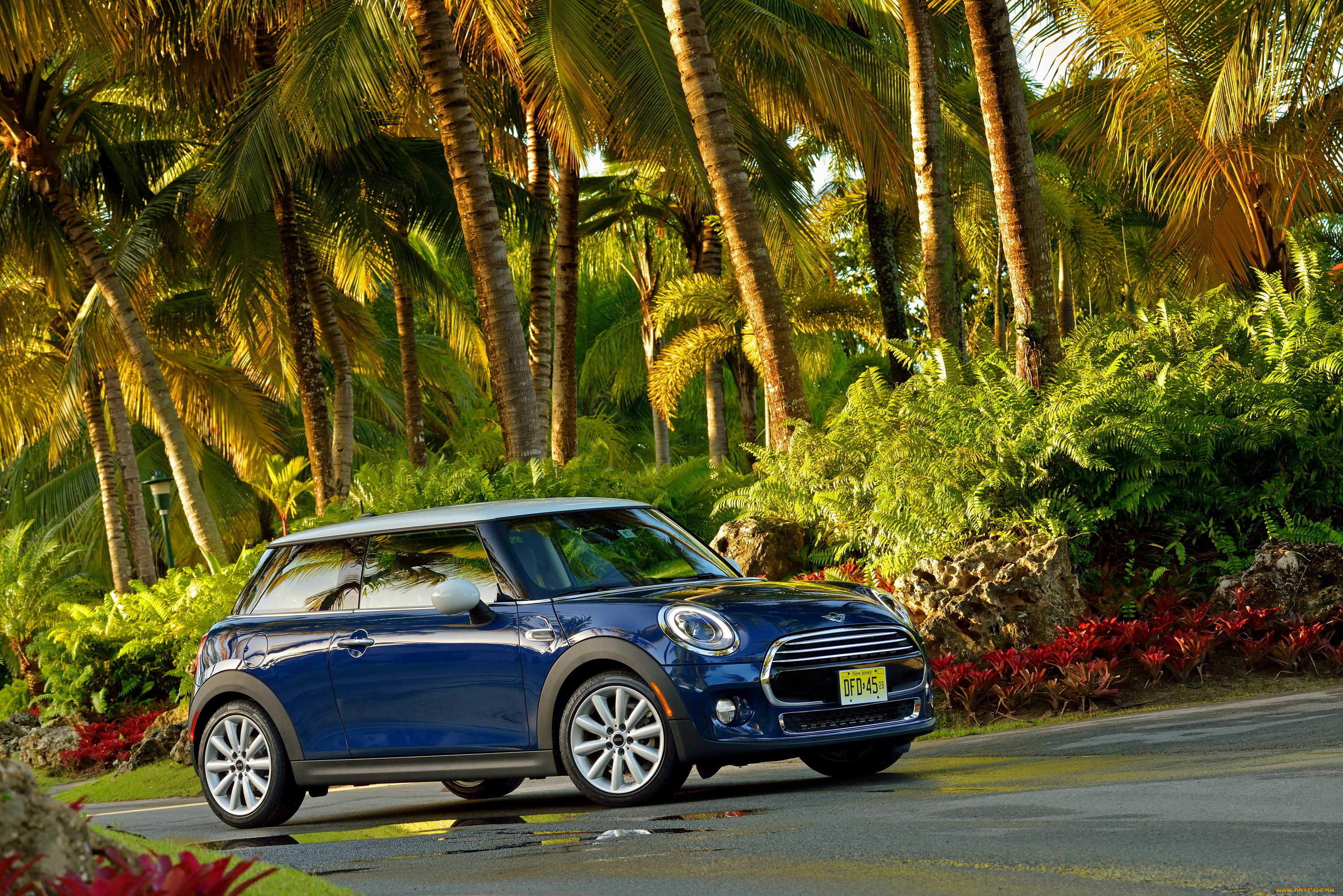 2014, mini, cooper, f56, автомобили, mini, пальмы, синий, тюнинг, john, cooper