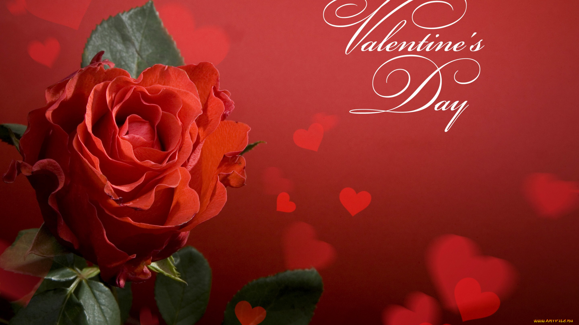праздничные, день, святого, валентина, , сердечки, , любовь, valentines, day, roses, heart, роза, сердце