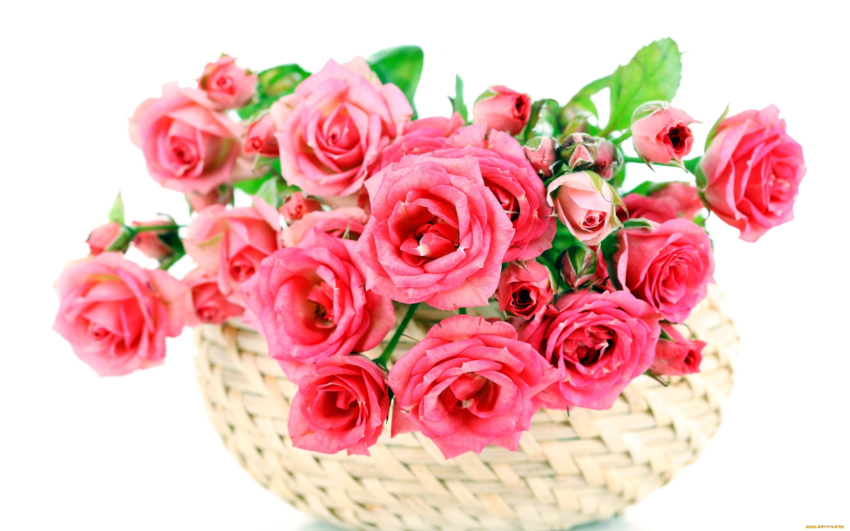 цветы, розы, корзинка, розовый