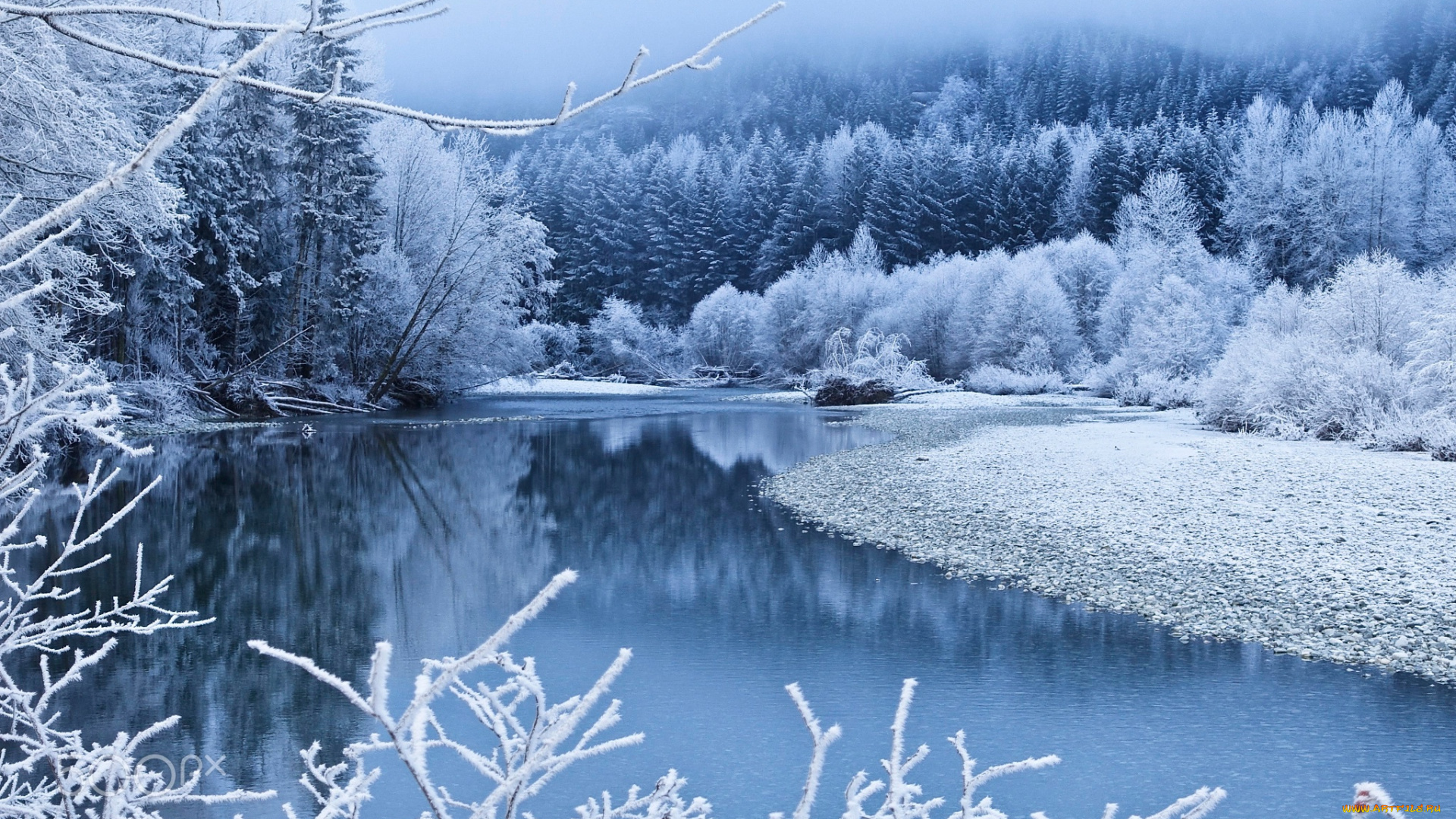 природа, зима, снег, туман, деревья, берег, синева, ветки, лес, река