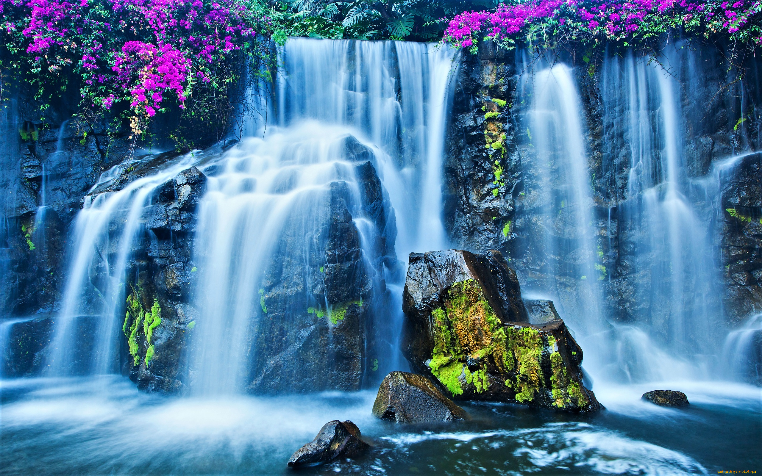 природа, водопады, водопад, цветы, камень