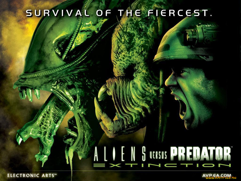 alien, vs, predator, видео, игры, aliens