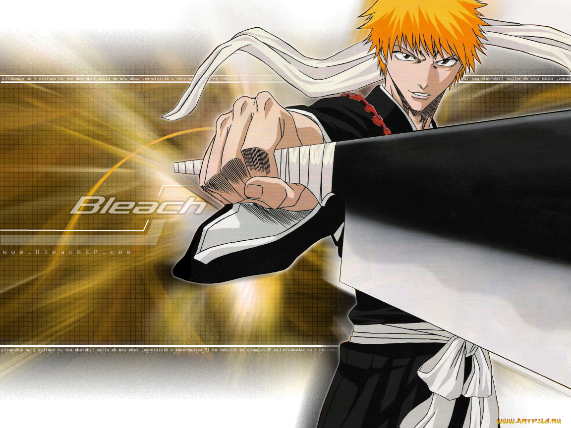 bleach, аниме