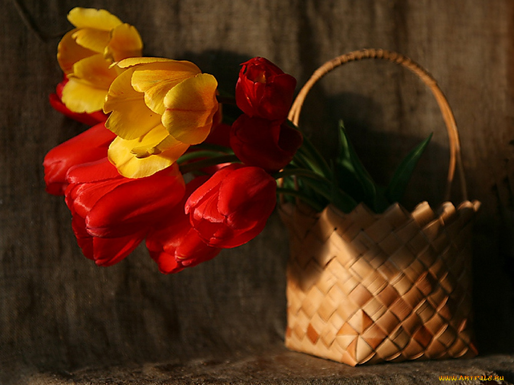 nf, natalya, fedorchenko, этюд, цветы, тюльпаны