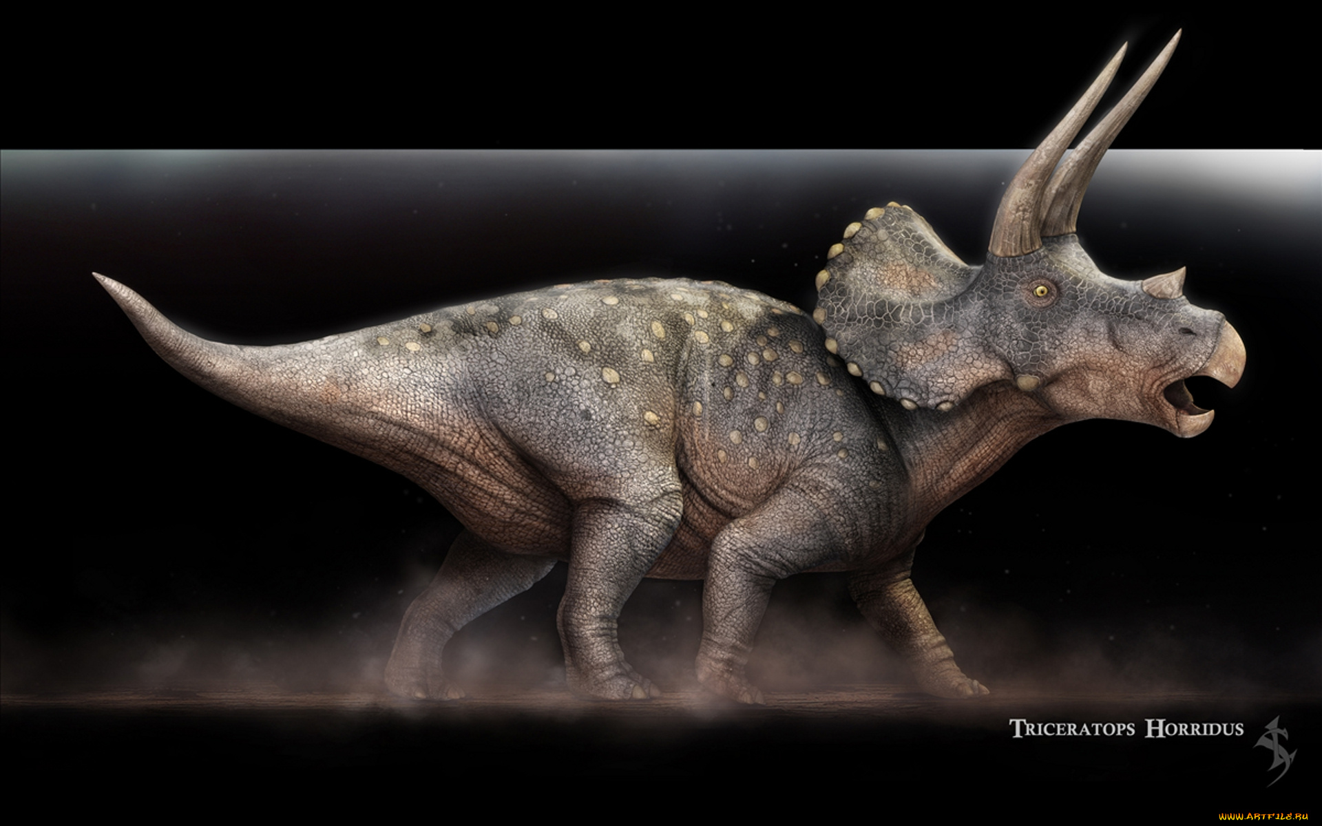 triceratops, horridus, рисованные, животные, доисторические, динозавры, ящеры, рисунок