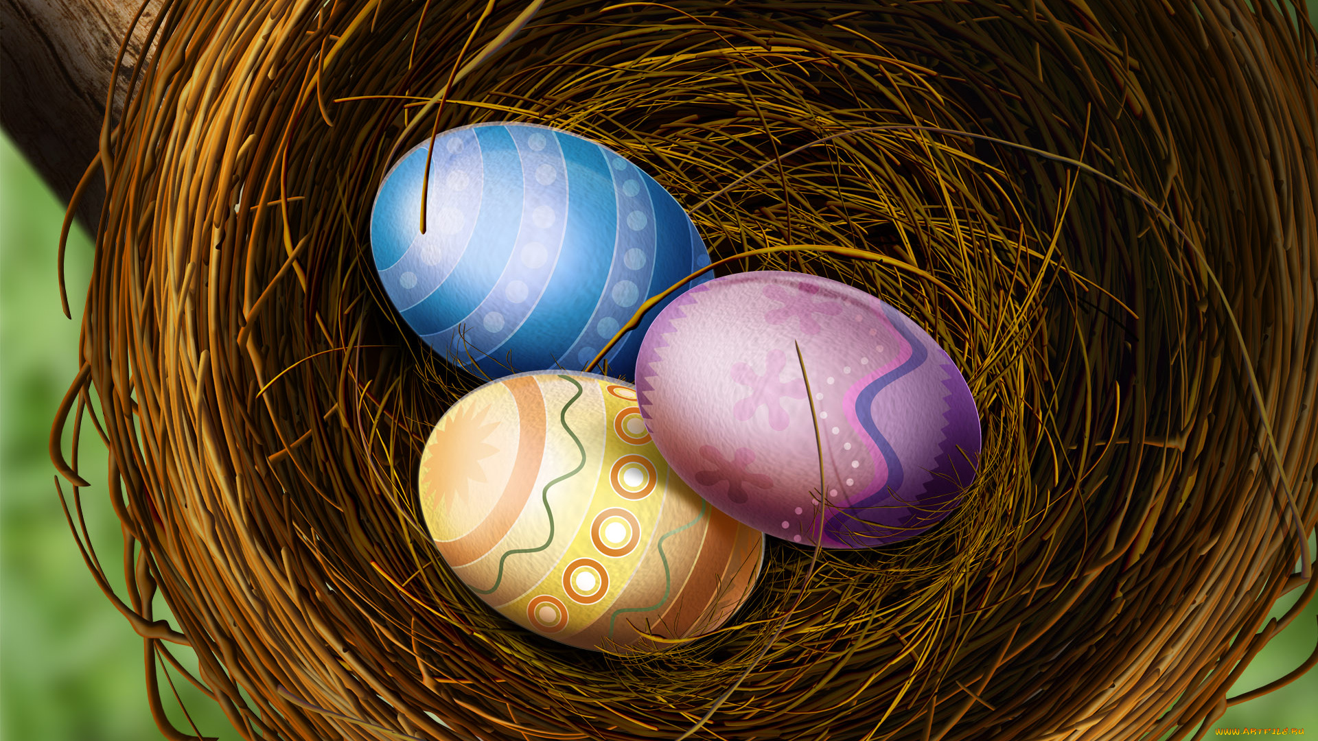яйцо гнездо egg the nest скачать