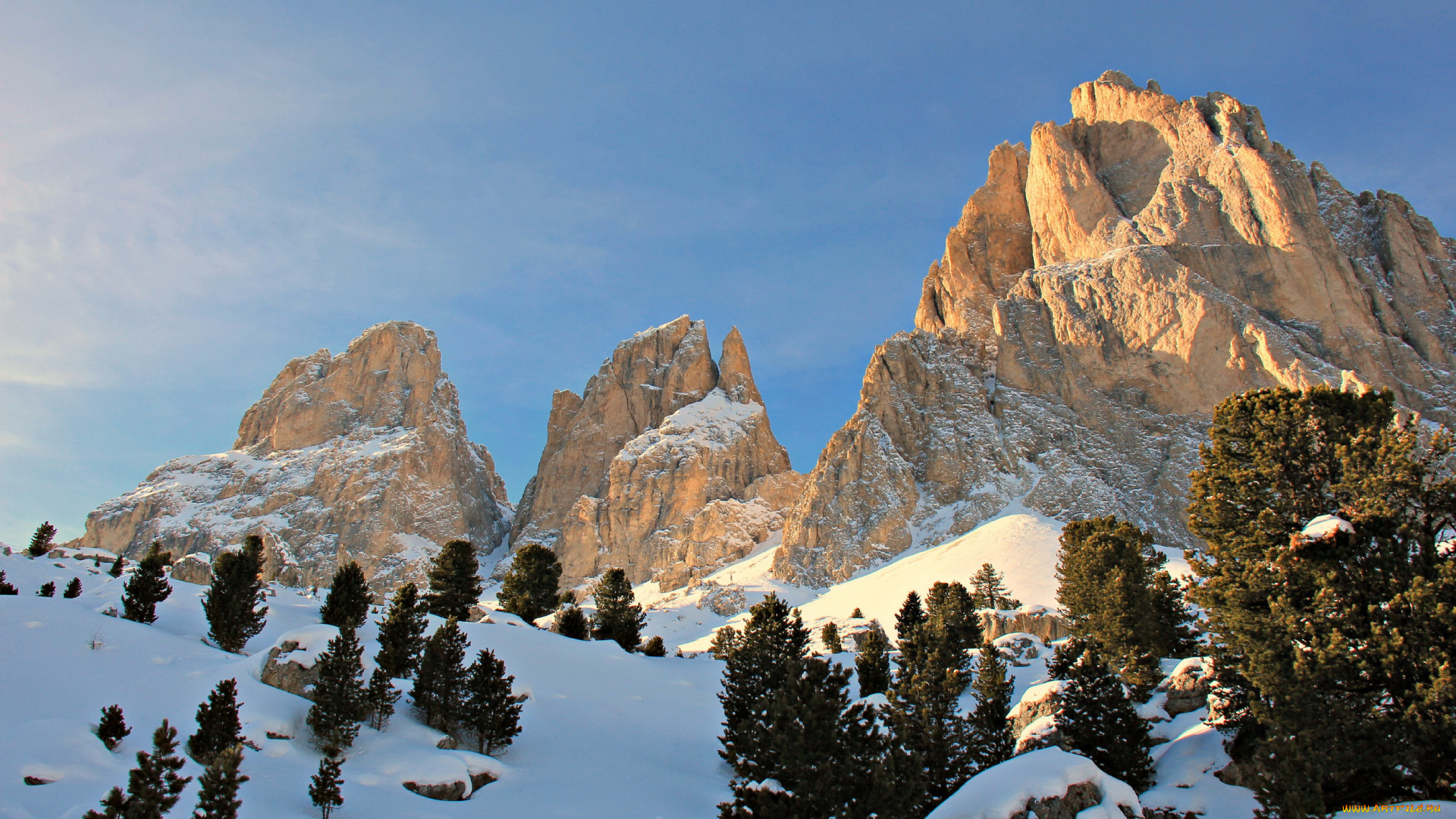 italian, alps, природа, горы, ели, снег
