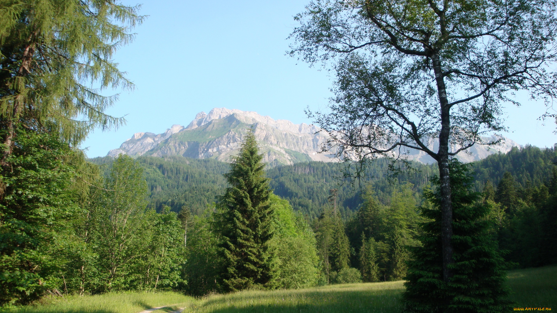 швейцария, люцерн, кринс, природа, дороги, горы, дорожка, лес