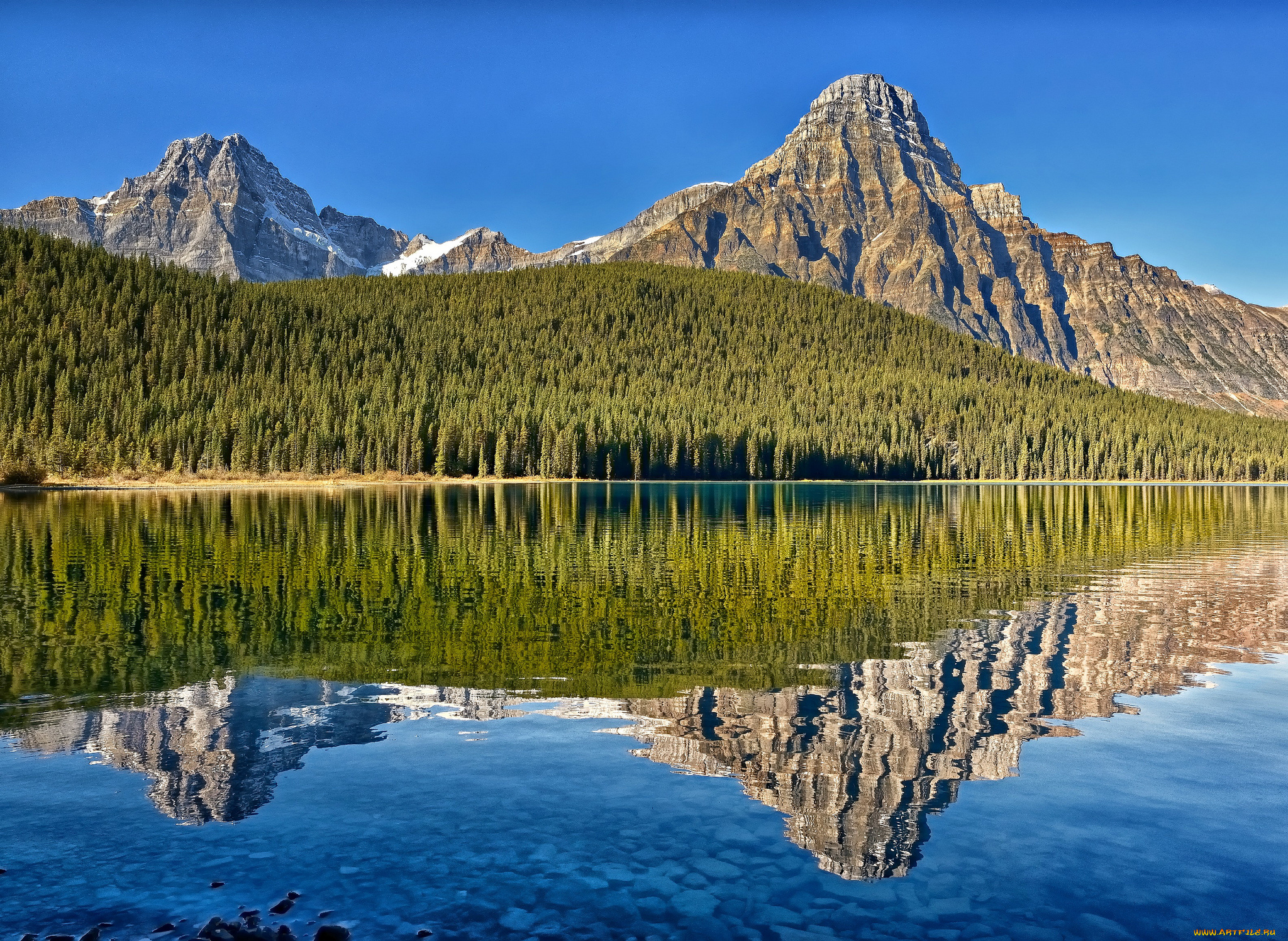 howse, peak, mount, chephren, alberta, canada, природа, реки, озера, lower, waterfowl, lake, альберта, канада, горы, озеро, отражение