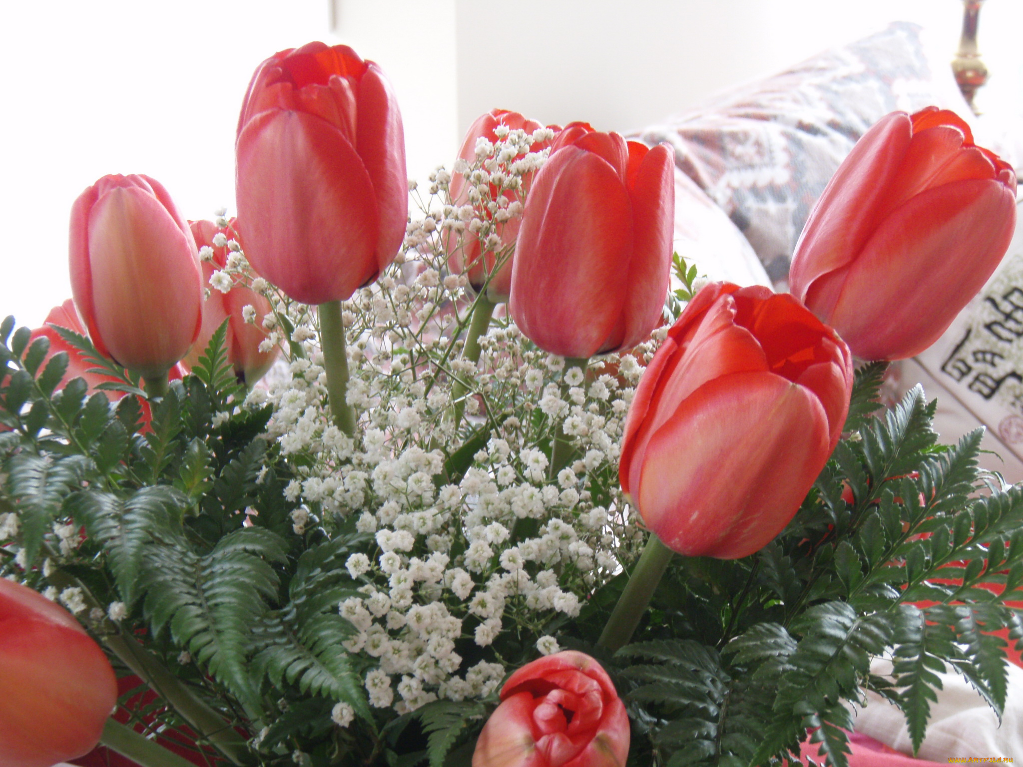 цветы, букеты, композиции, тюльпаны