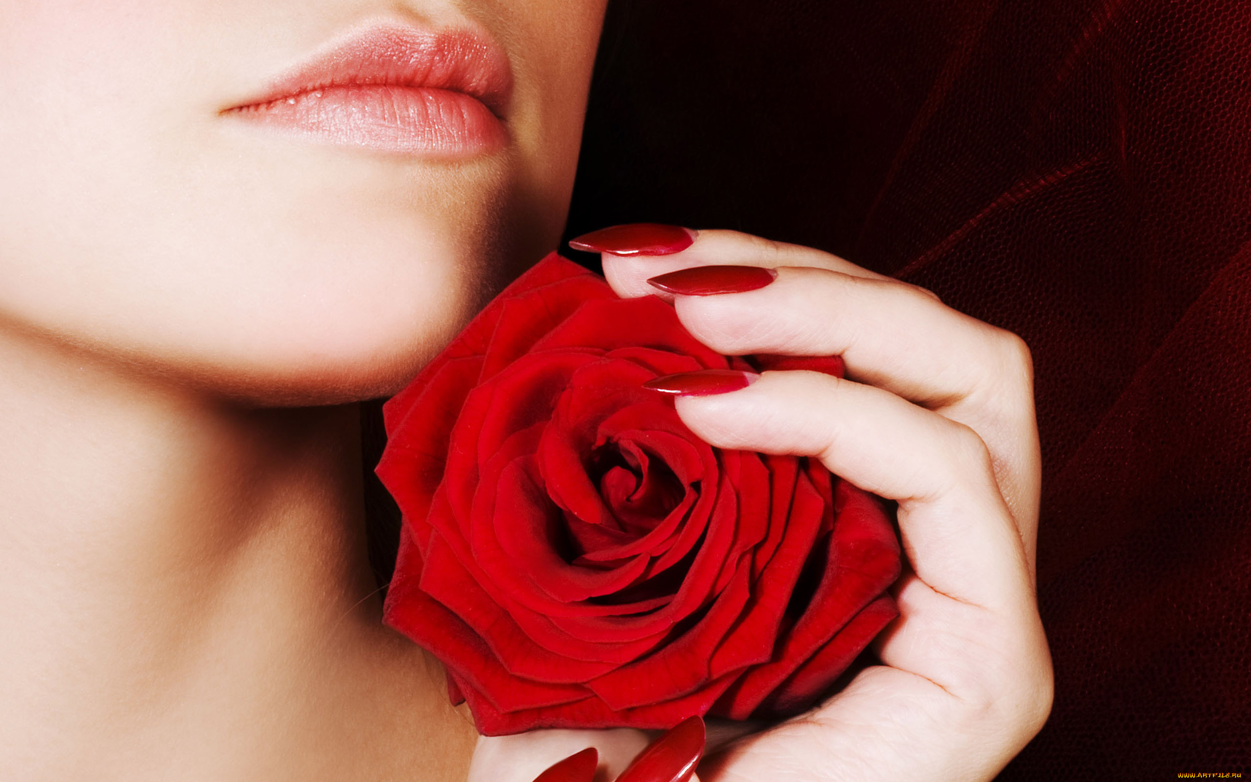 разное, губы, роза, рука, красная, девушка