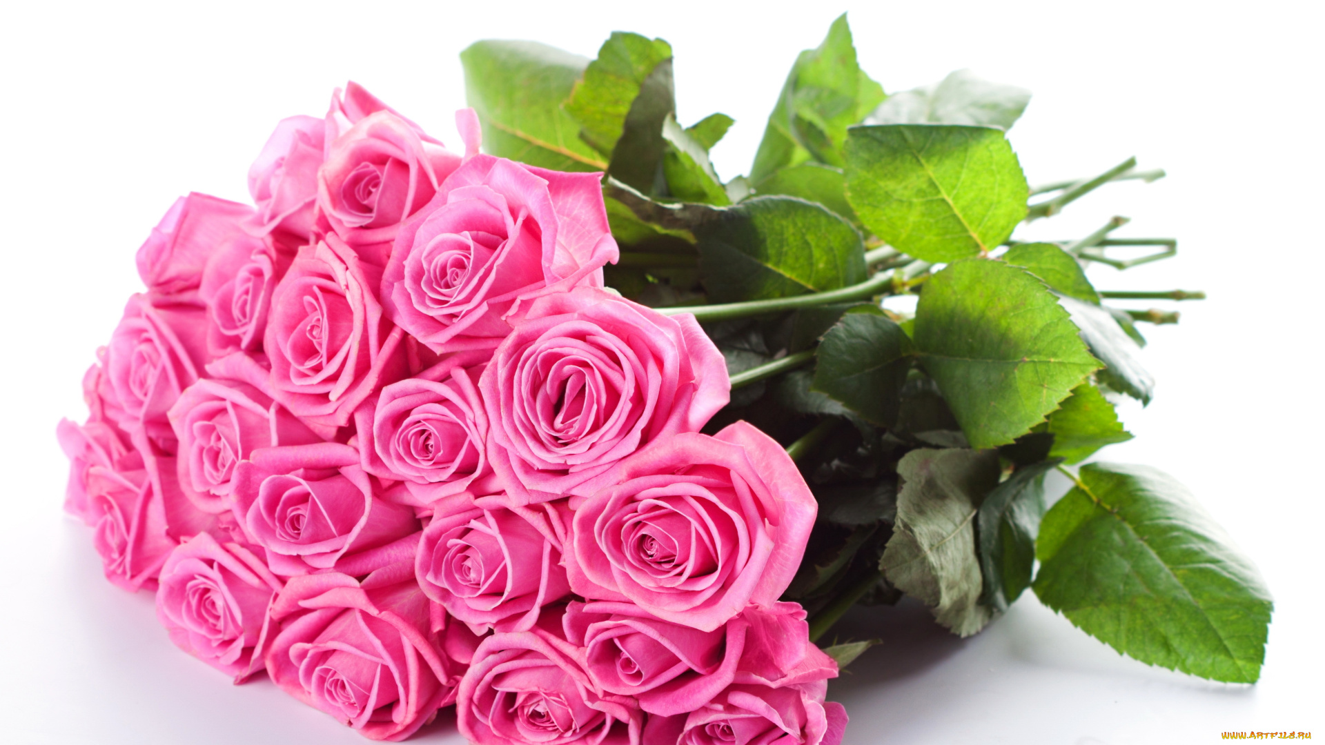 цветы, розы, bouquet, beautiful, flowers, roses, pink