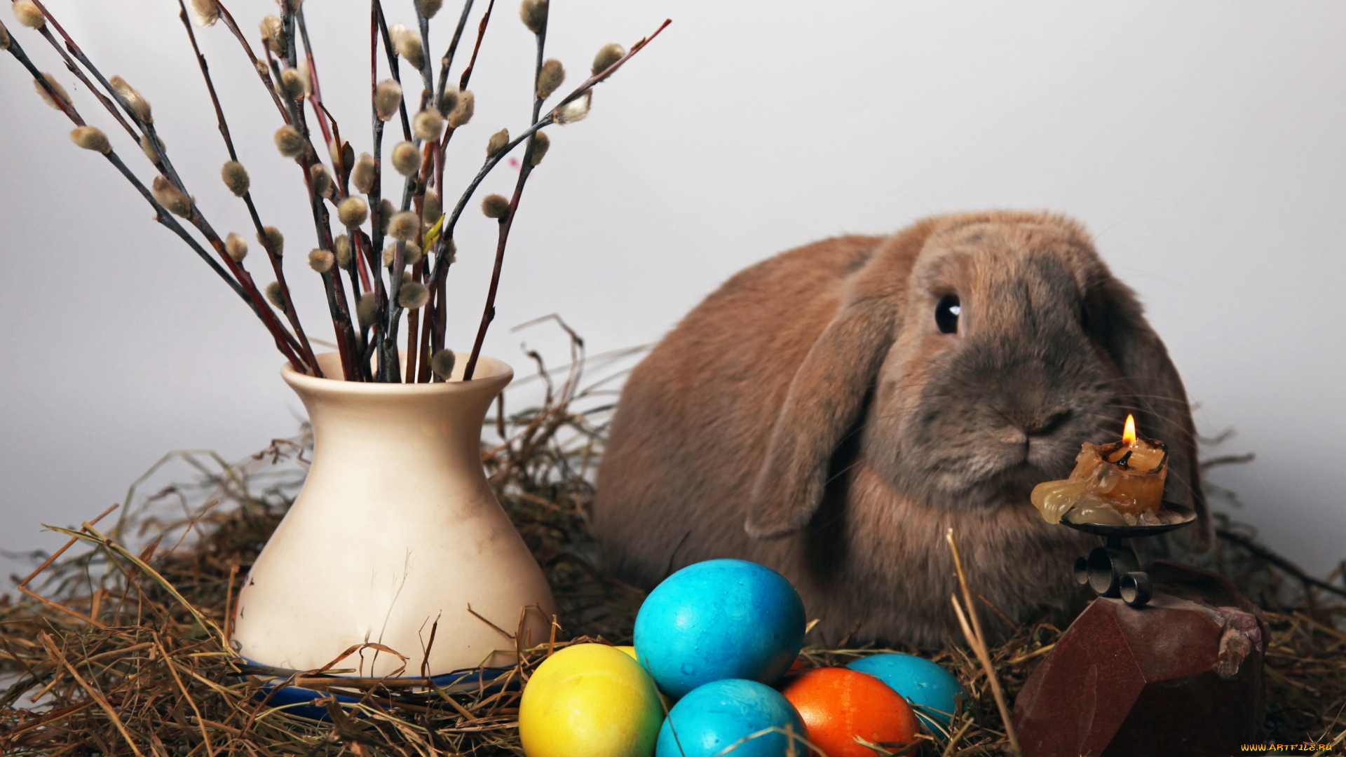 животные, кролики, , зайцы, кролик, пасха, яйцо, easter, свеча, верба, ваза