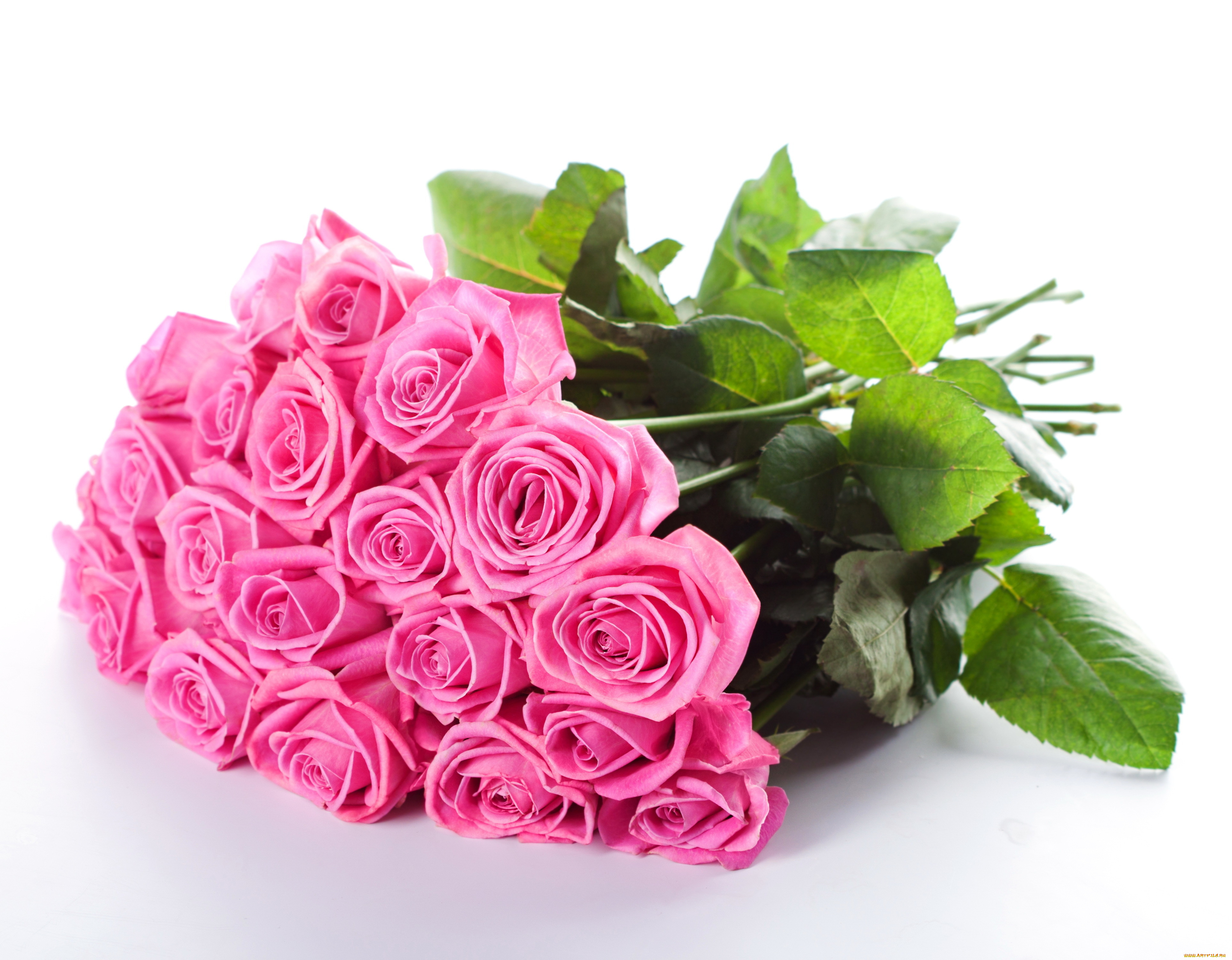 цветы, розы, bouquet, beautiful, flowers, roses, pink