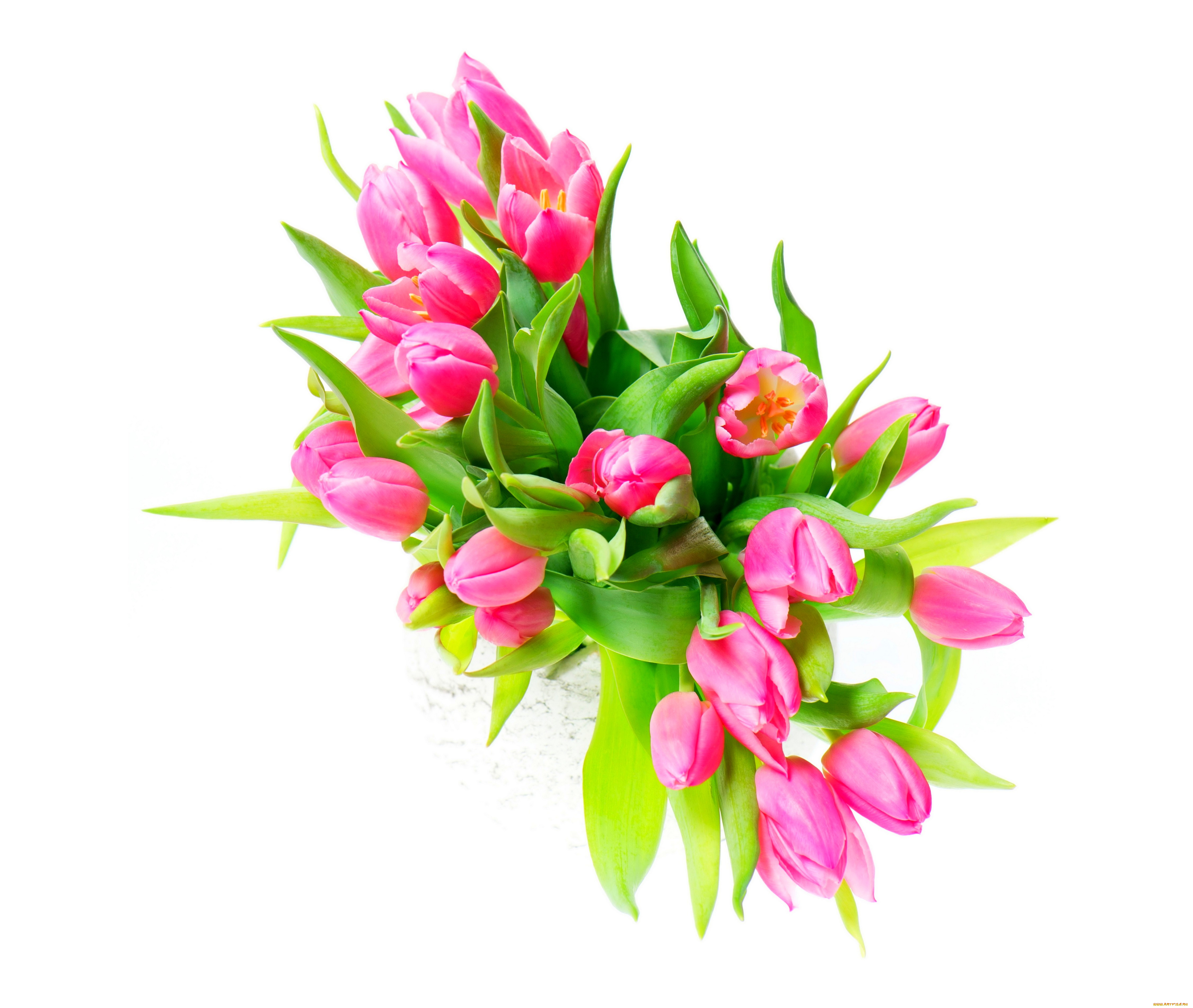 цветы, тюльпаны, ваза, розовые, белый, фон