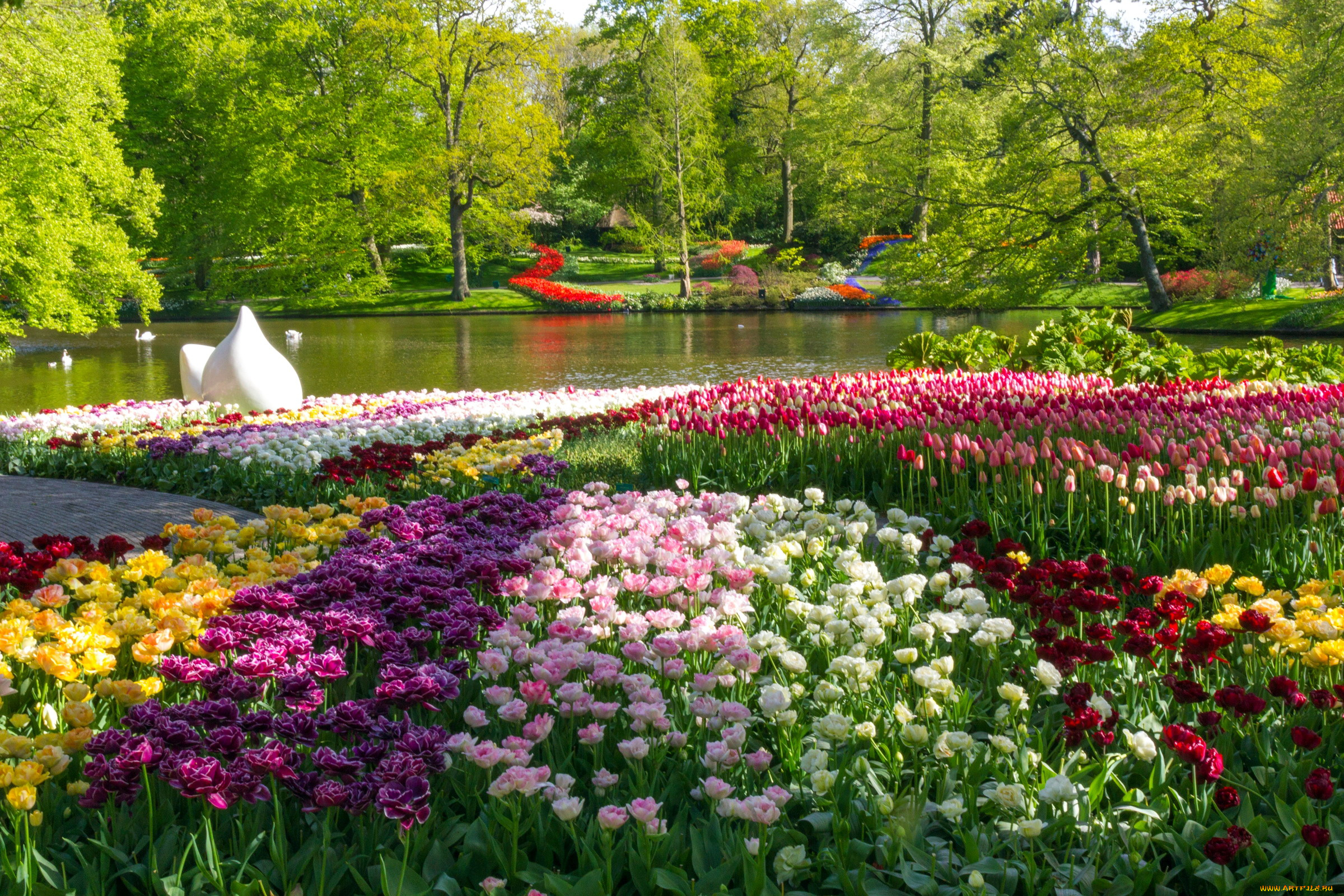 природа, парк, тюльпаны, пруд, весна