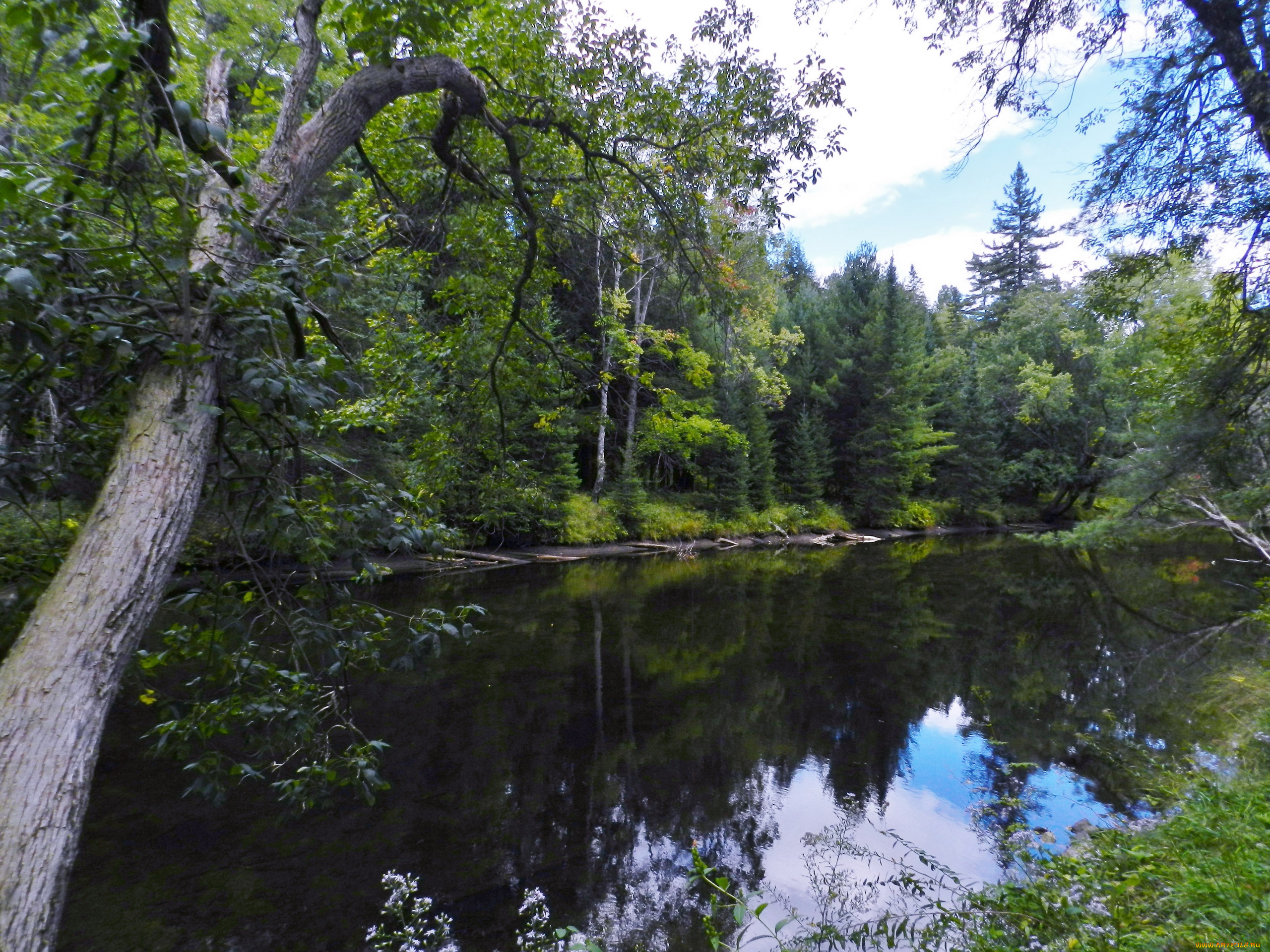 природа, реки, озера, вода, деревья