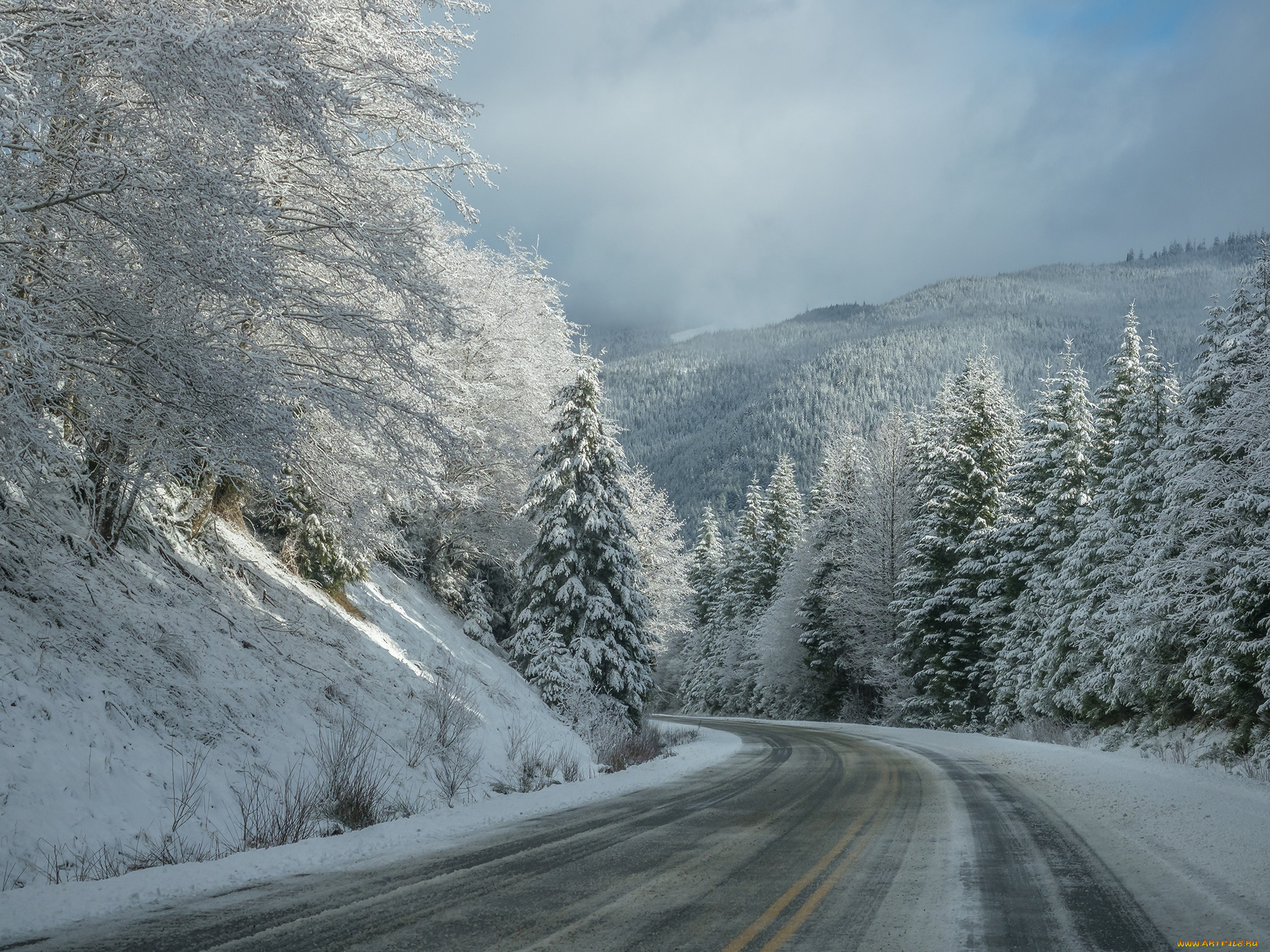 Тема зимней дороги. Снежная дорога. Зима дорога. Зима дорога лес. Заснеженная дорога.